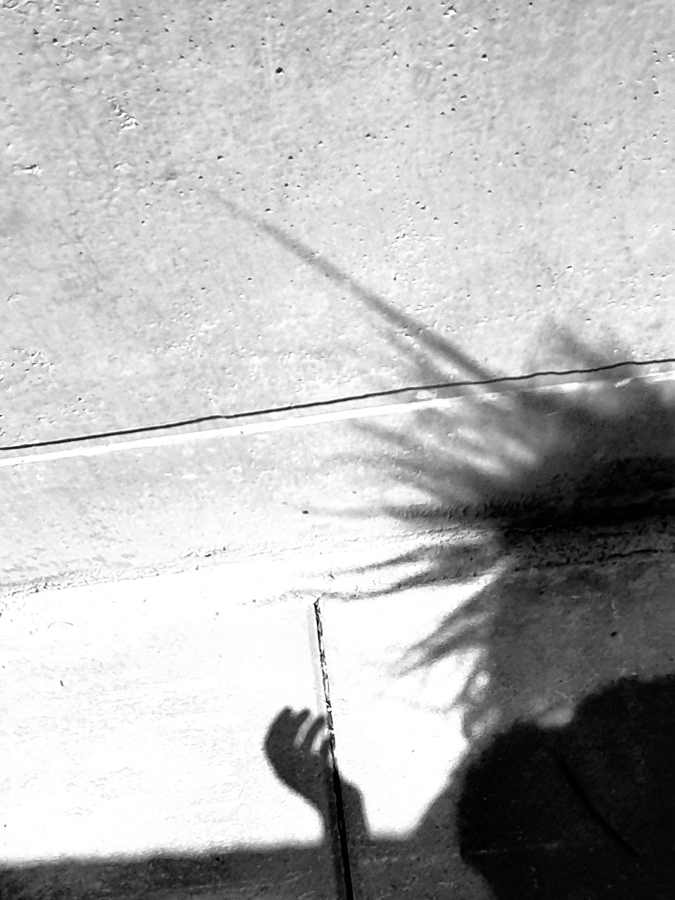 Abstractions and shadow. Consultation on printing in various magazines, illustrations for books