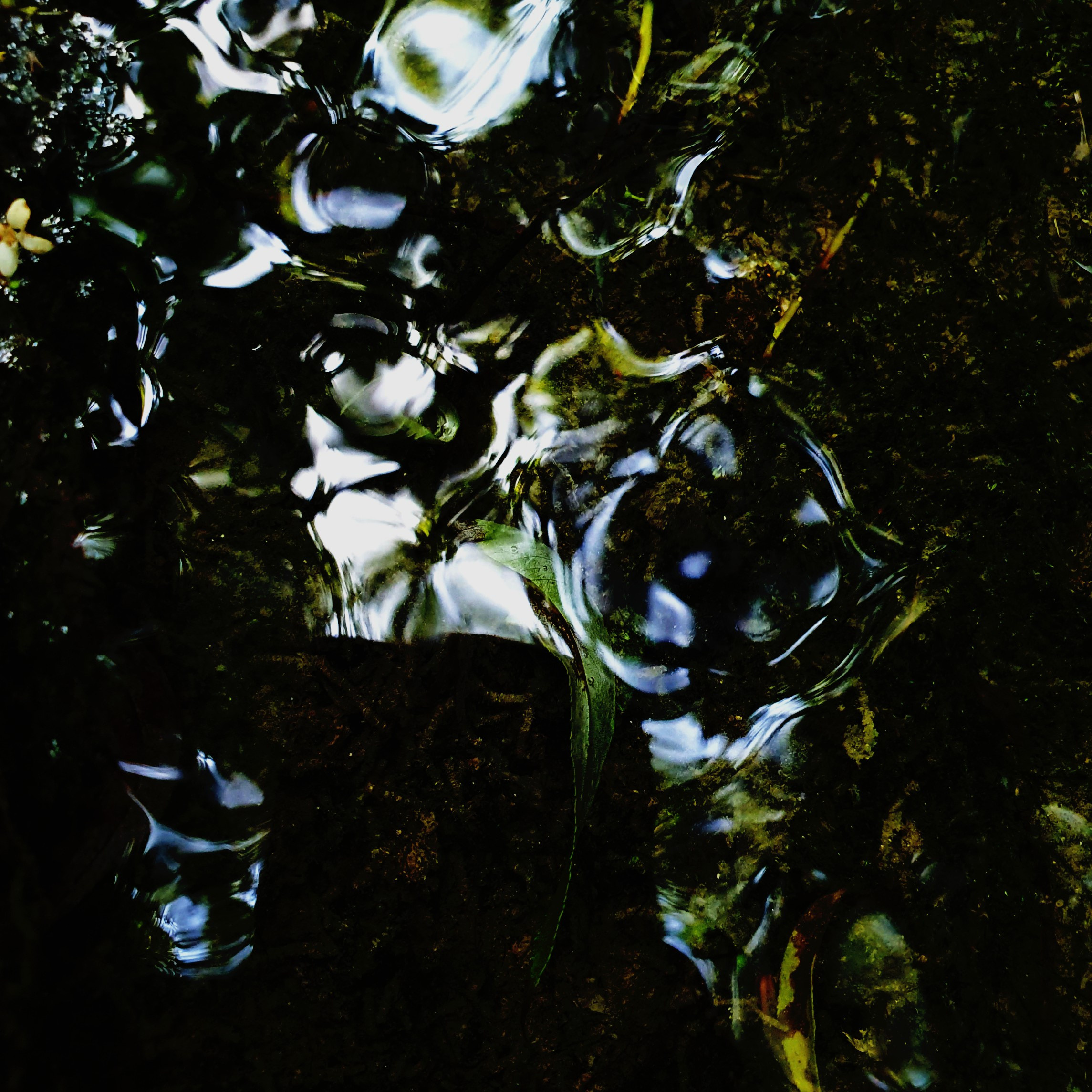 Abstractions and shadow. Consultation on printing in various magazines, illustrations for books