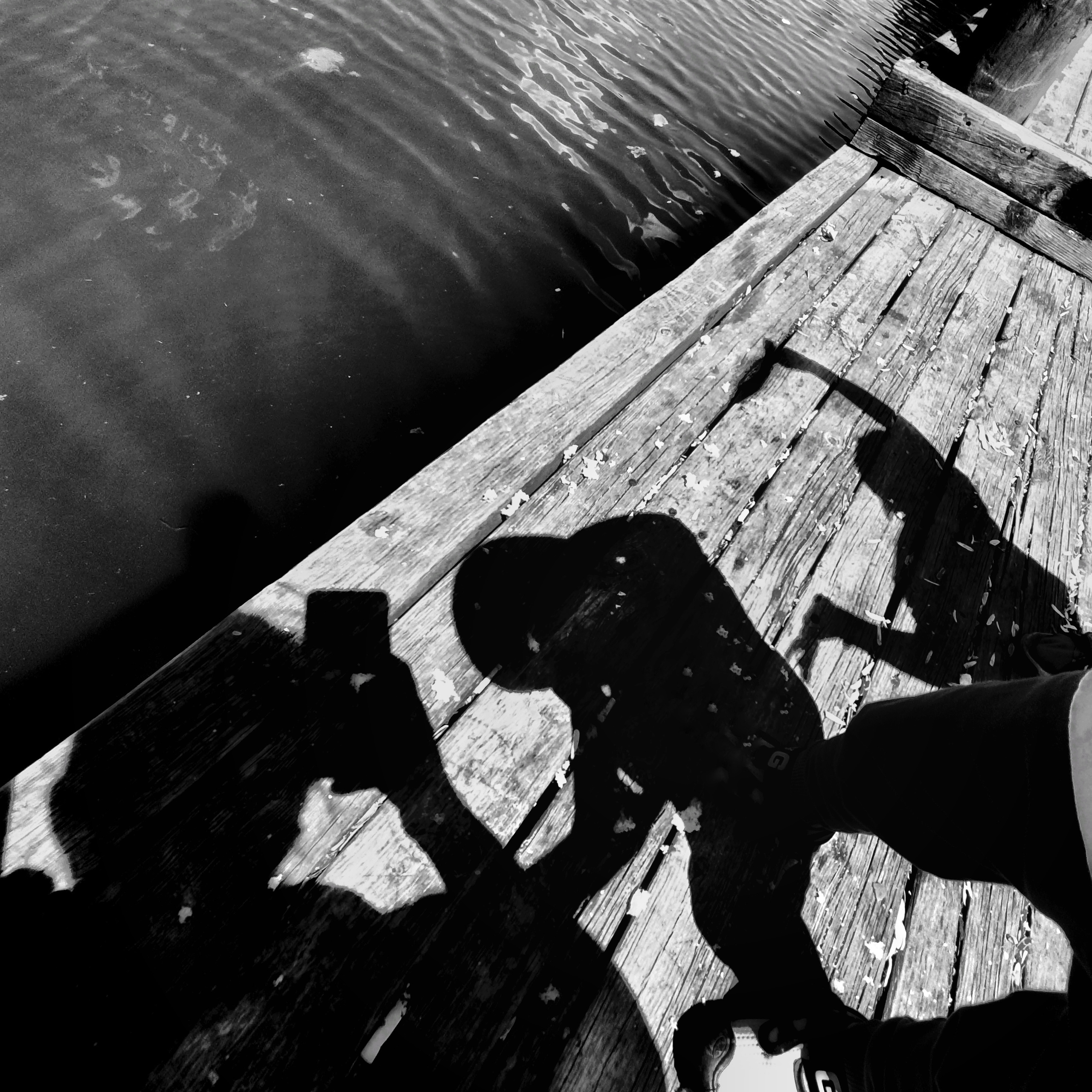 Abstractions and shadow. Consultation on printing in various magazines, illustrations for books