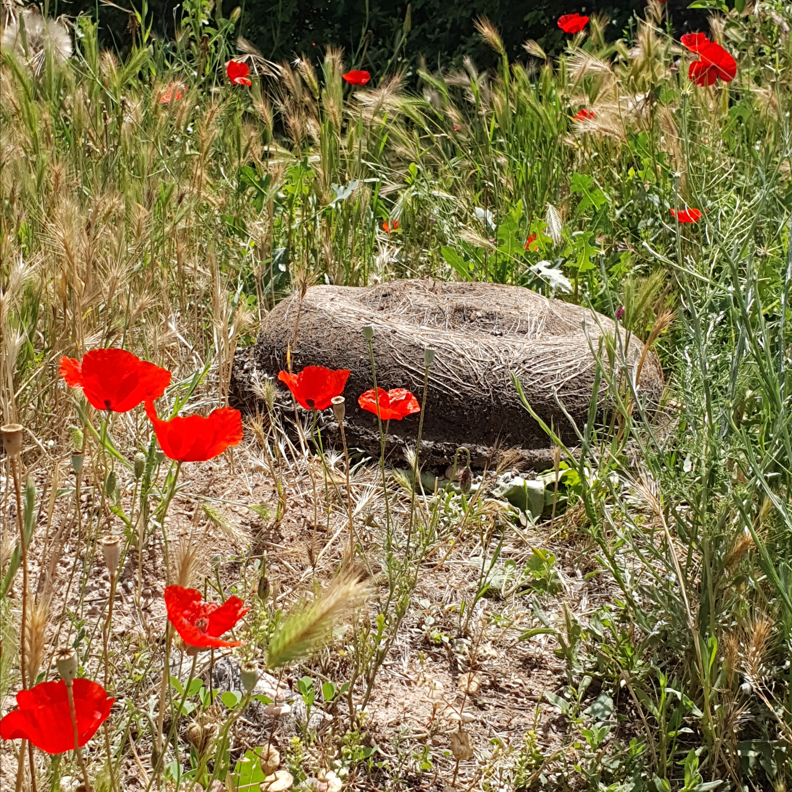 РАЗНОЕ. Современное искусство, глитч арт, glitch art