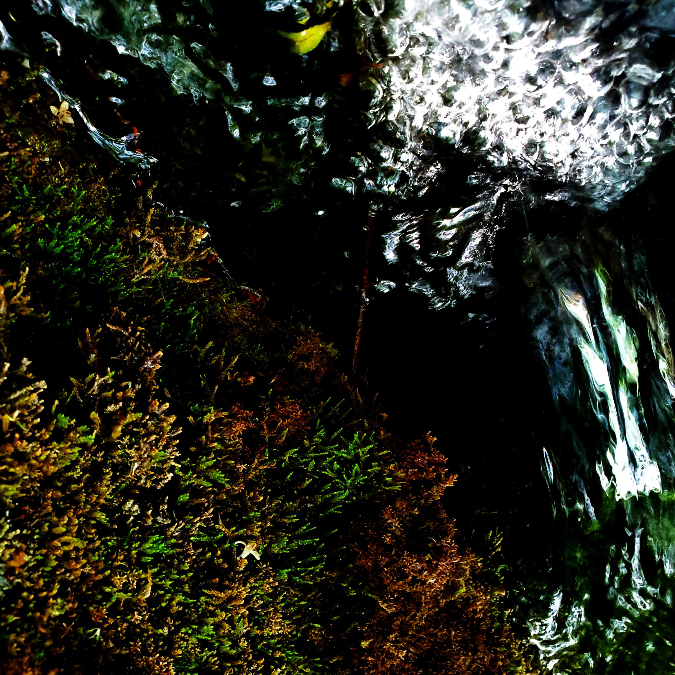 Abstractions and shadow. Consultation on printing in various magazines, illustrations for books