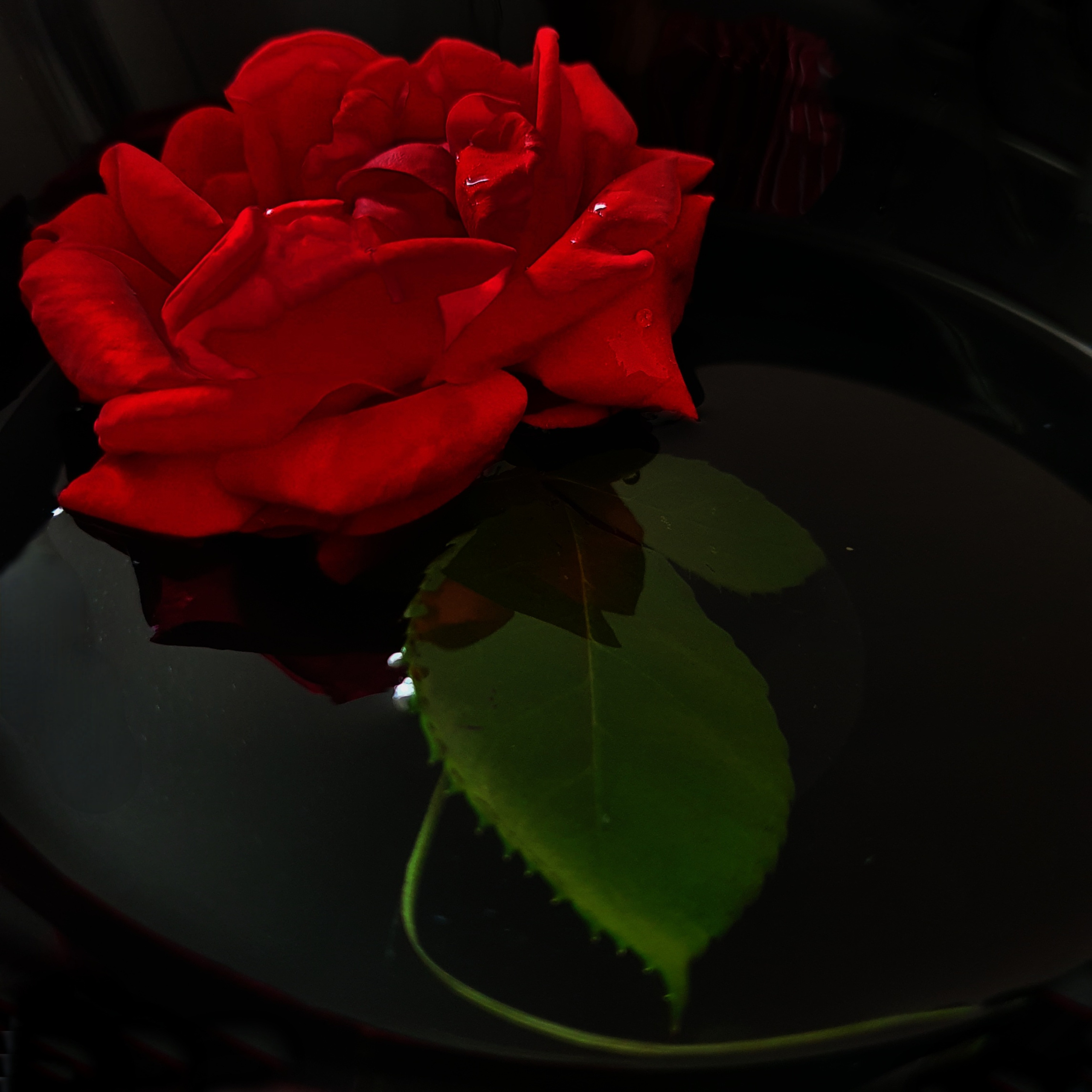 РАЗНОЕ. Современное искусство, глитч арт, glitch art