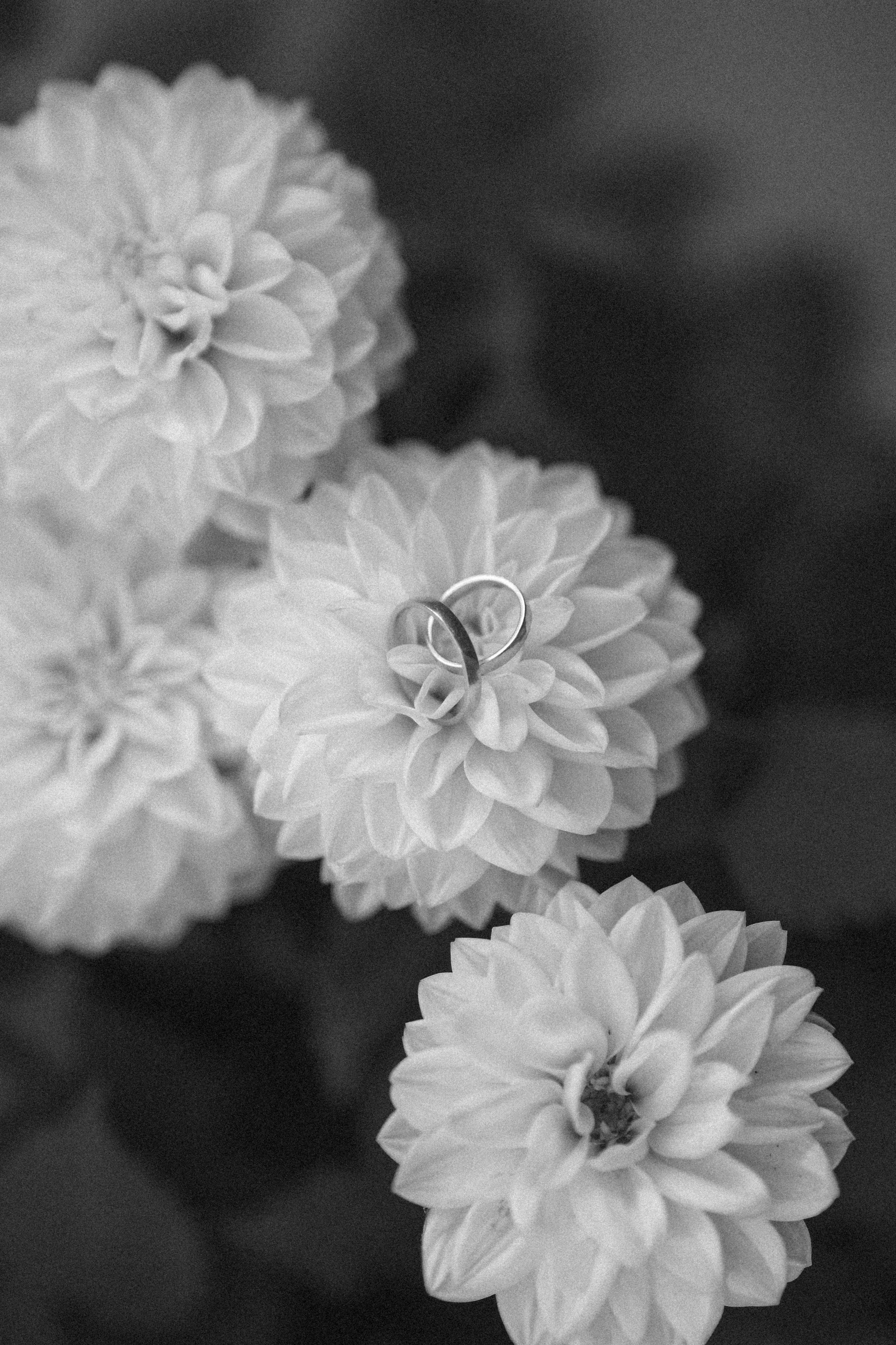 Weddings. Wedding Photographer in Germany & Europe | Nicole Hartwich