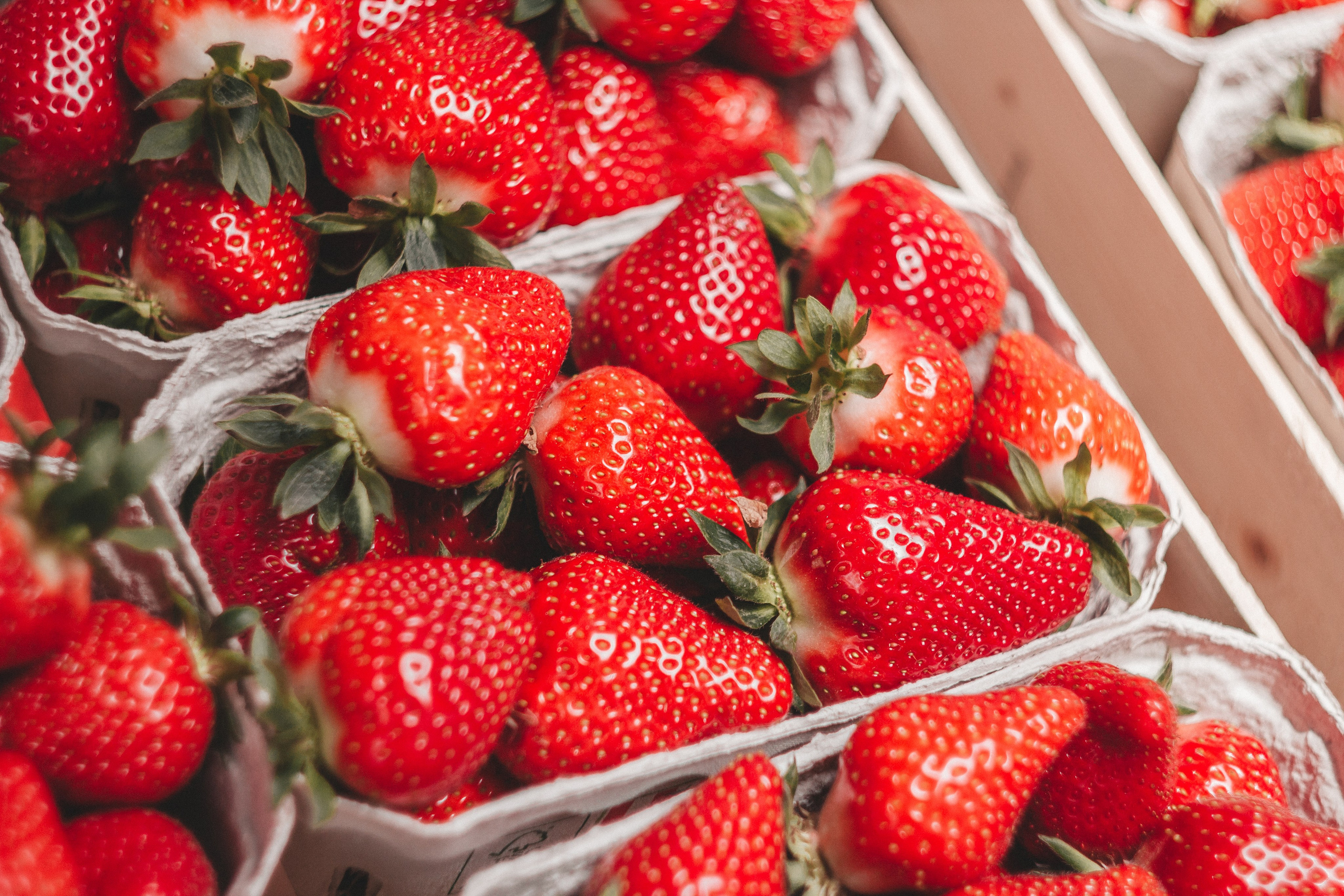Oberkircher Erdbeerfest. Maria Chistyakovа — Fotografin in Karlsruhe, Baden-Baden und Umgebung