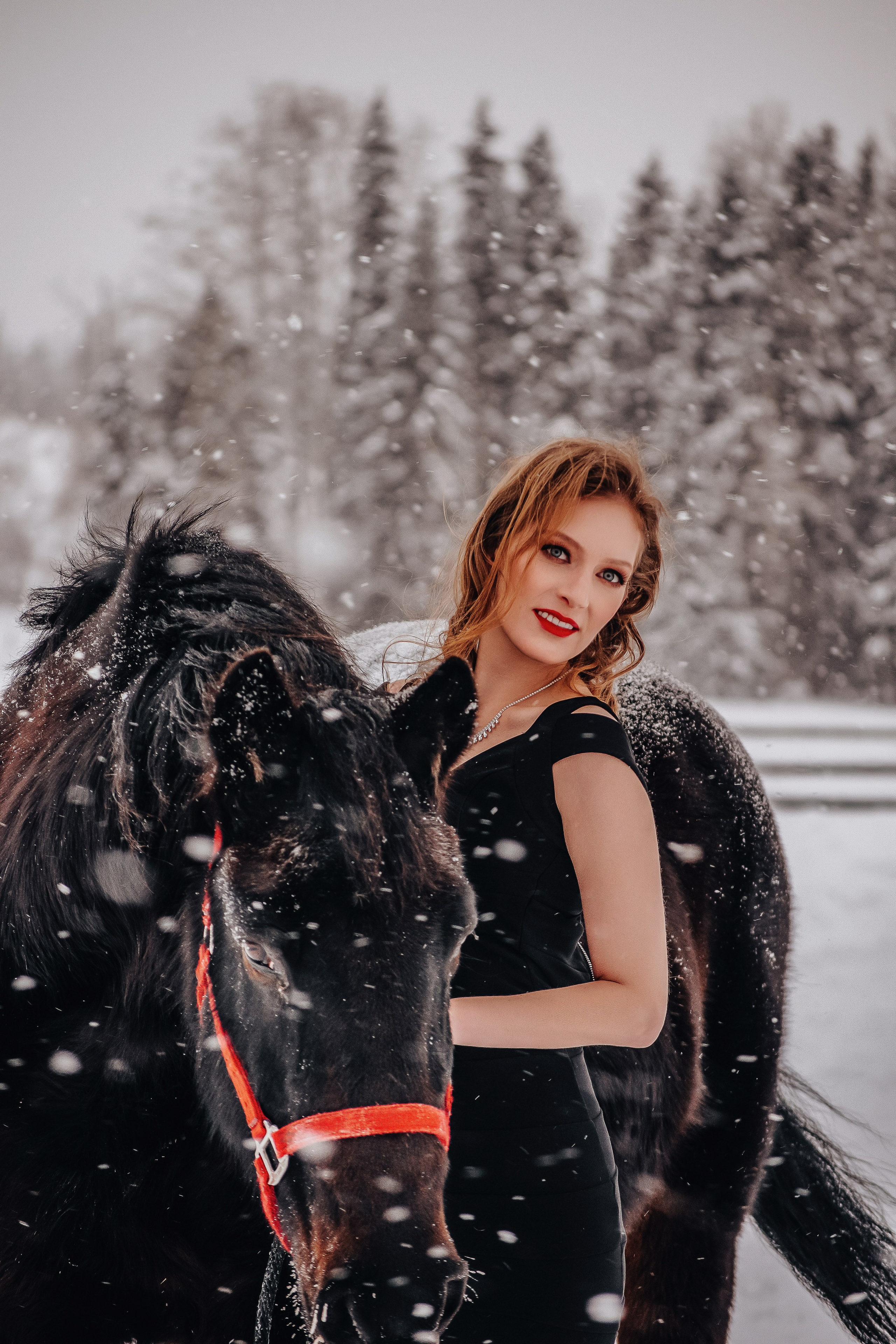 Christmas minis. Ellen Litvinova photography