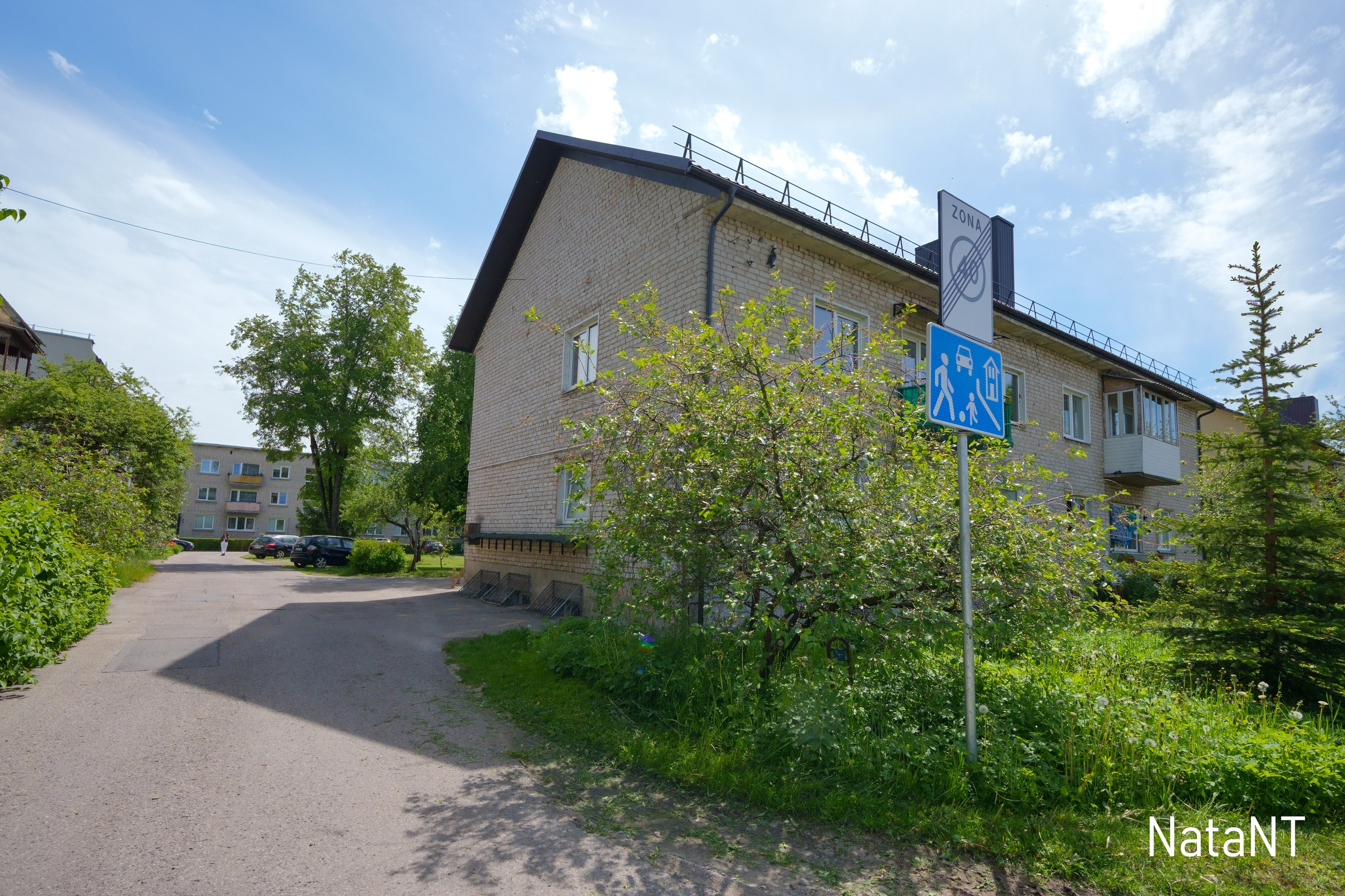 Grigiškės. Elina Sapiega fotografė Vilniuje