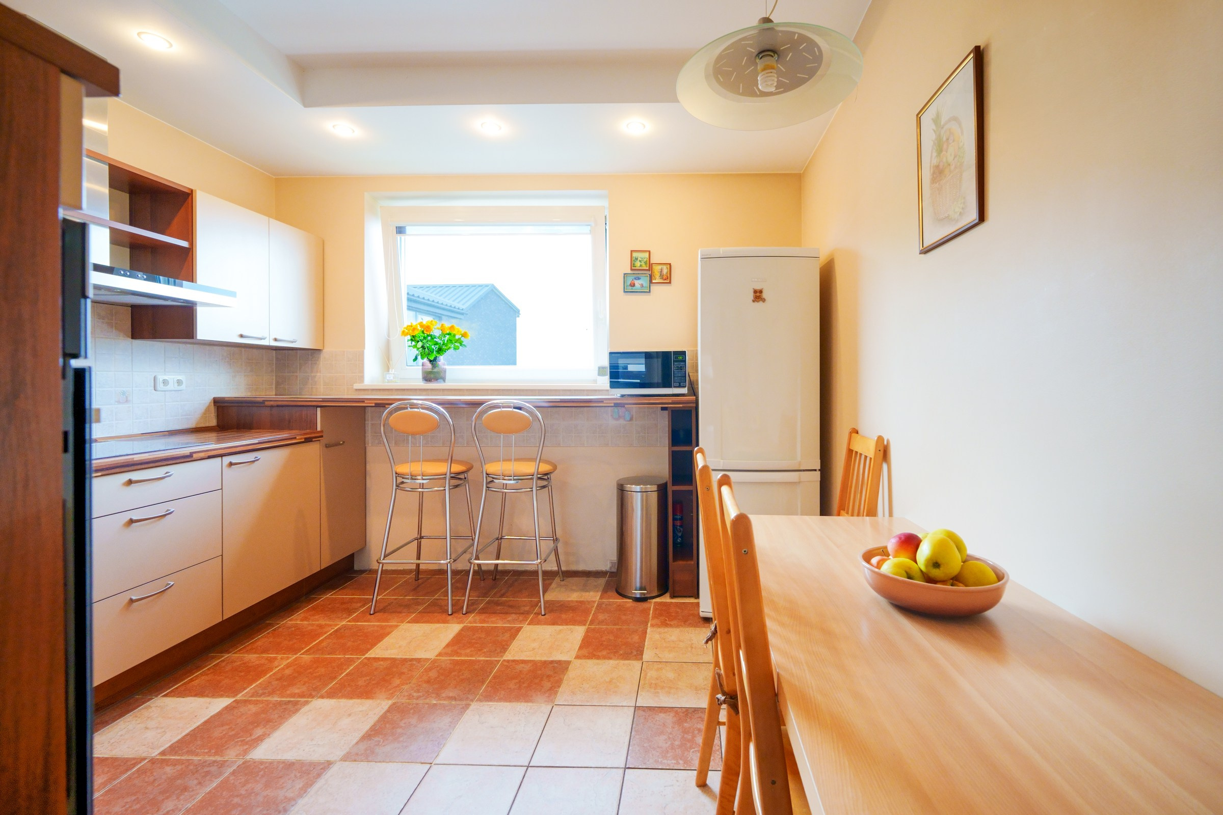 Viršupio sodų 1-oji. Elina Sapiega fotografė Vilniuje