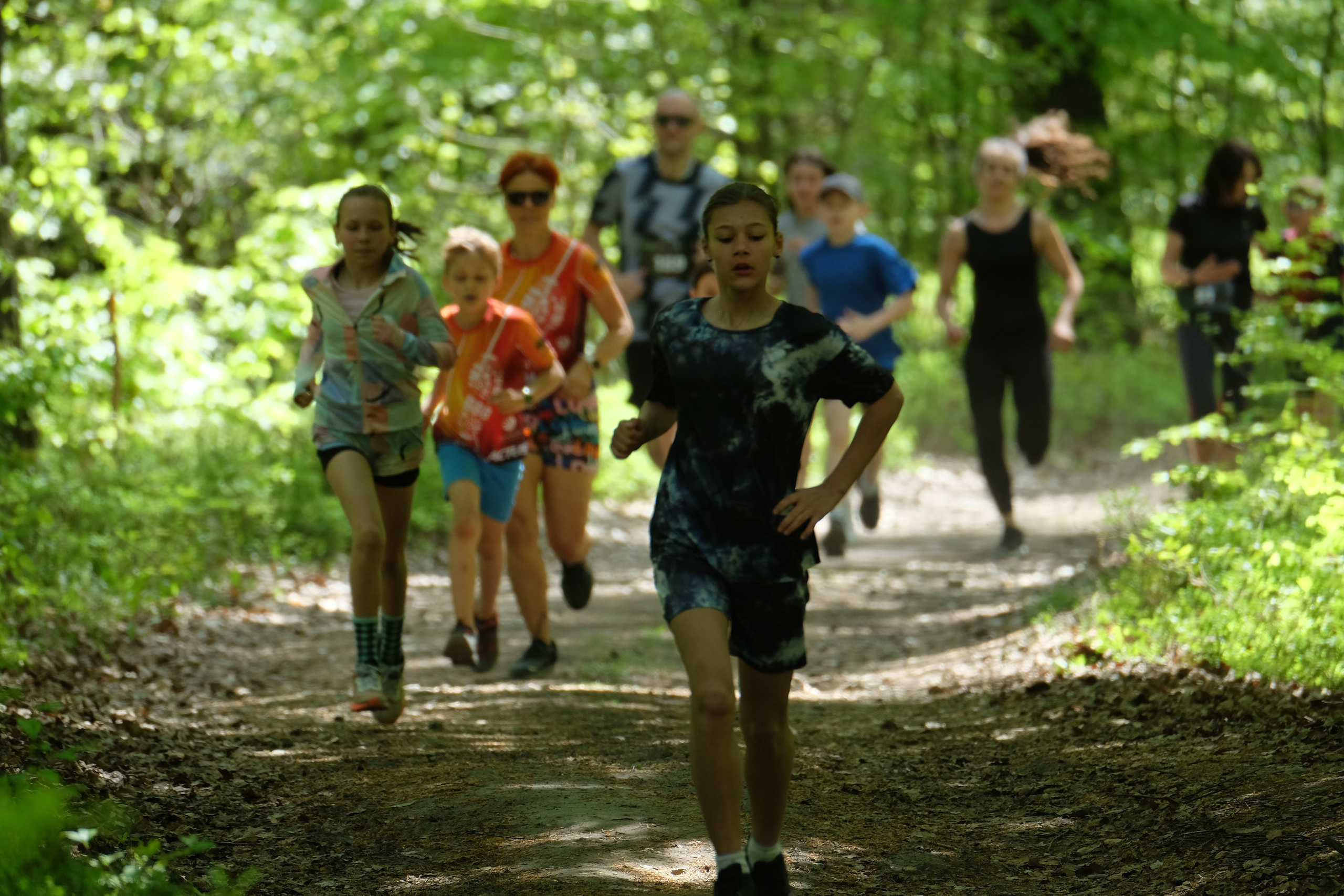 Aleksandryjska Piątka po lesie. Main