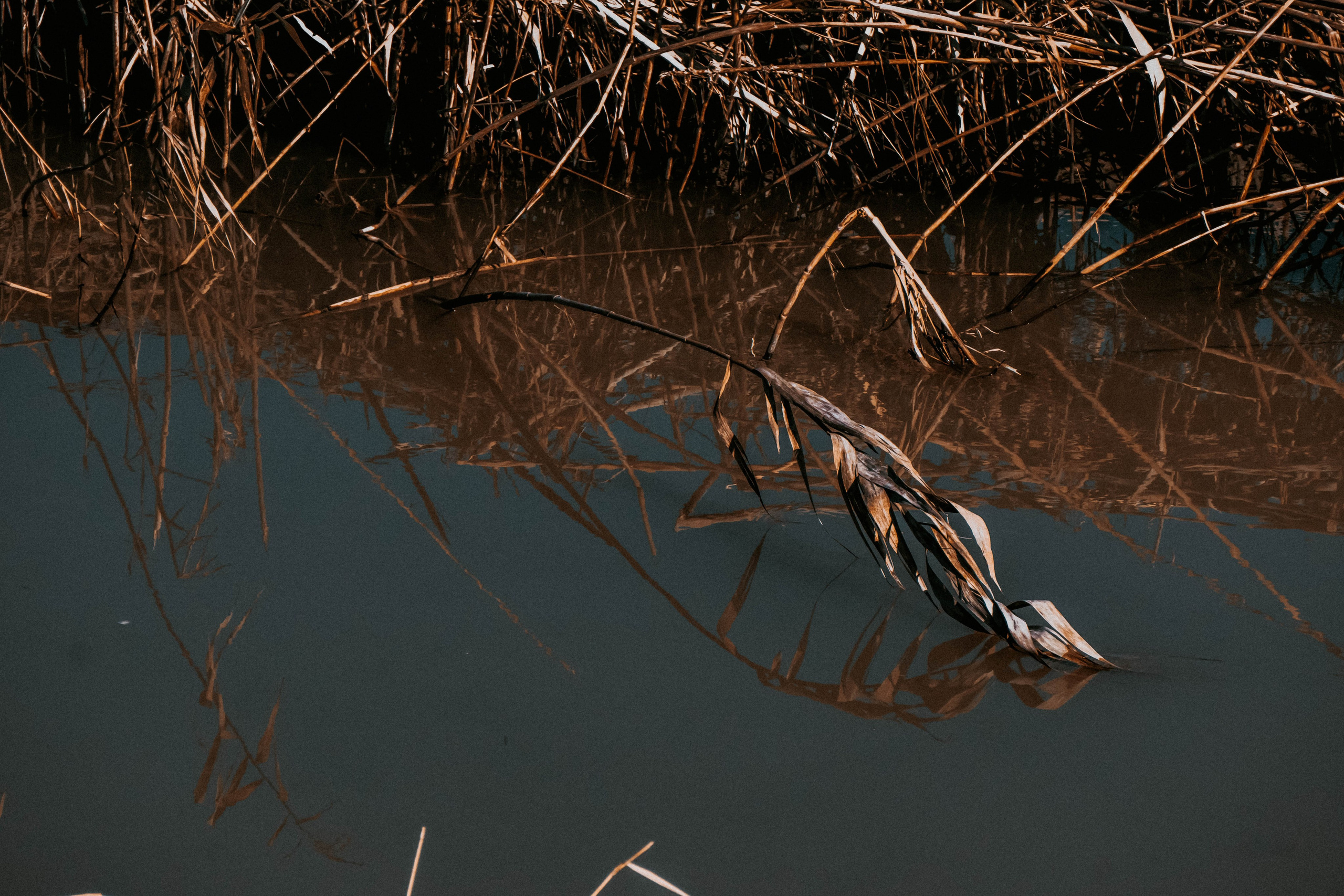 Rojales. Alba del Norte Studio