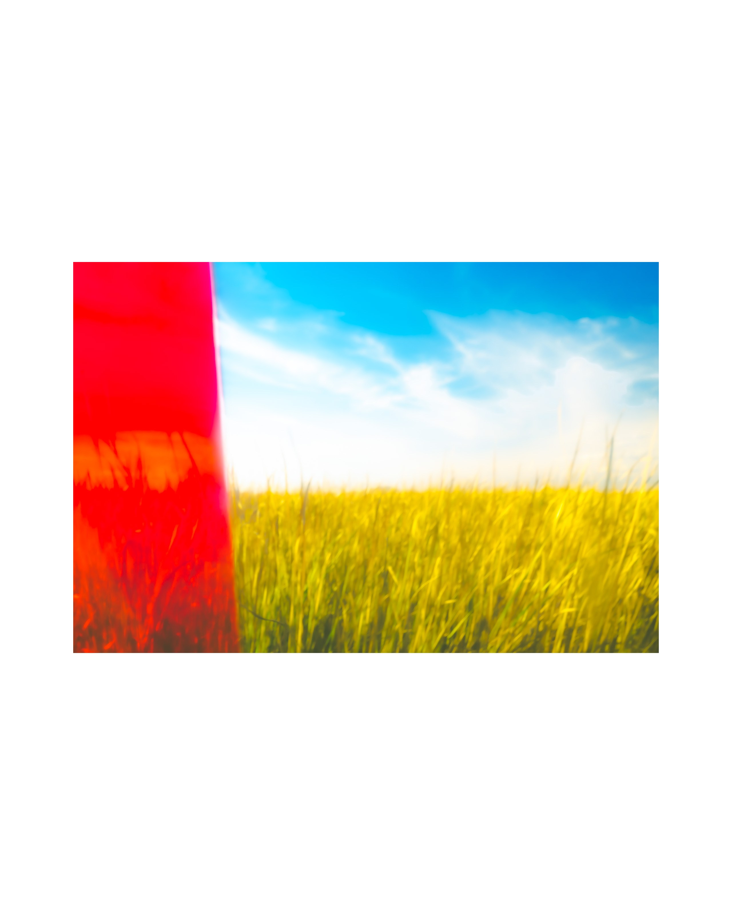 Nature from Exaggerated Worlds. Ekaterina Tsurkina-Appina Photography Canada