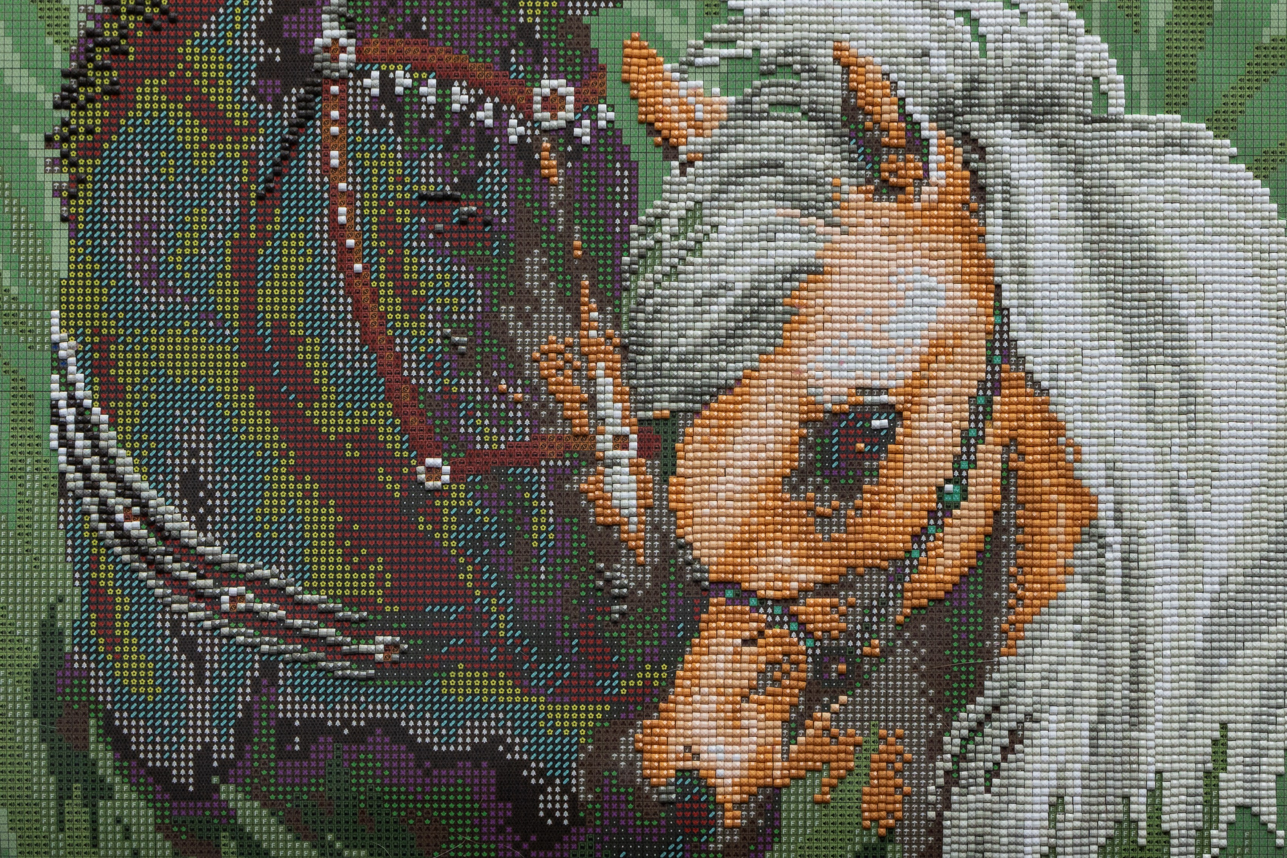 Всё получится!. Sasha Ivanov — Documentary photographer