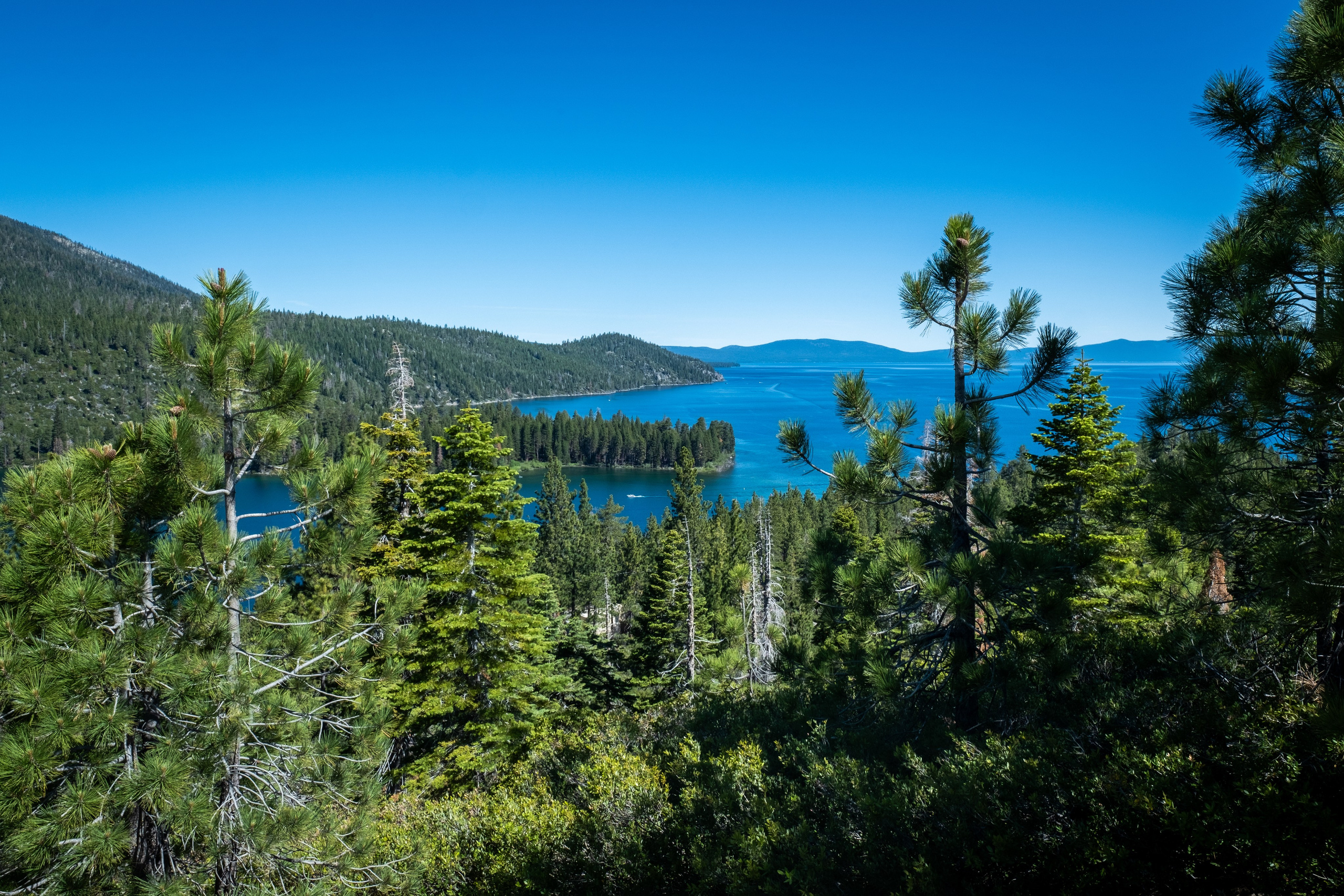 TAHOE. Reportage concert portrait photography in the San Francisco Bay Area