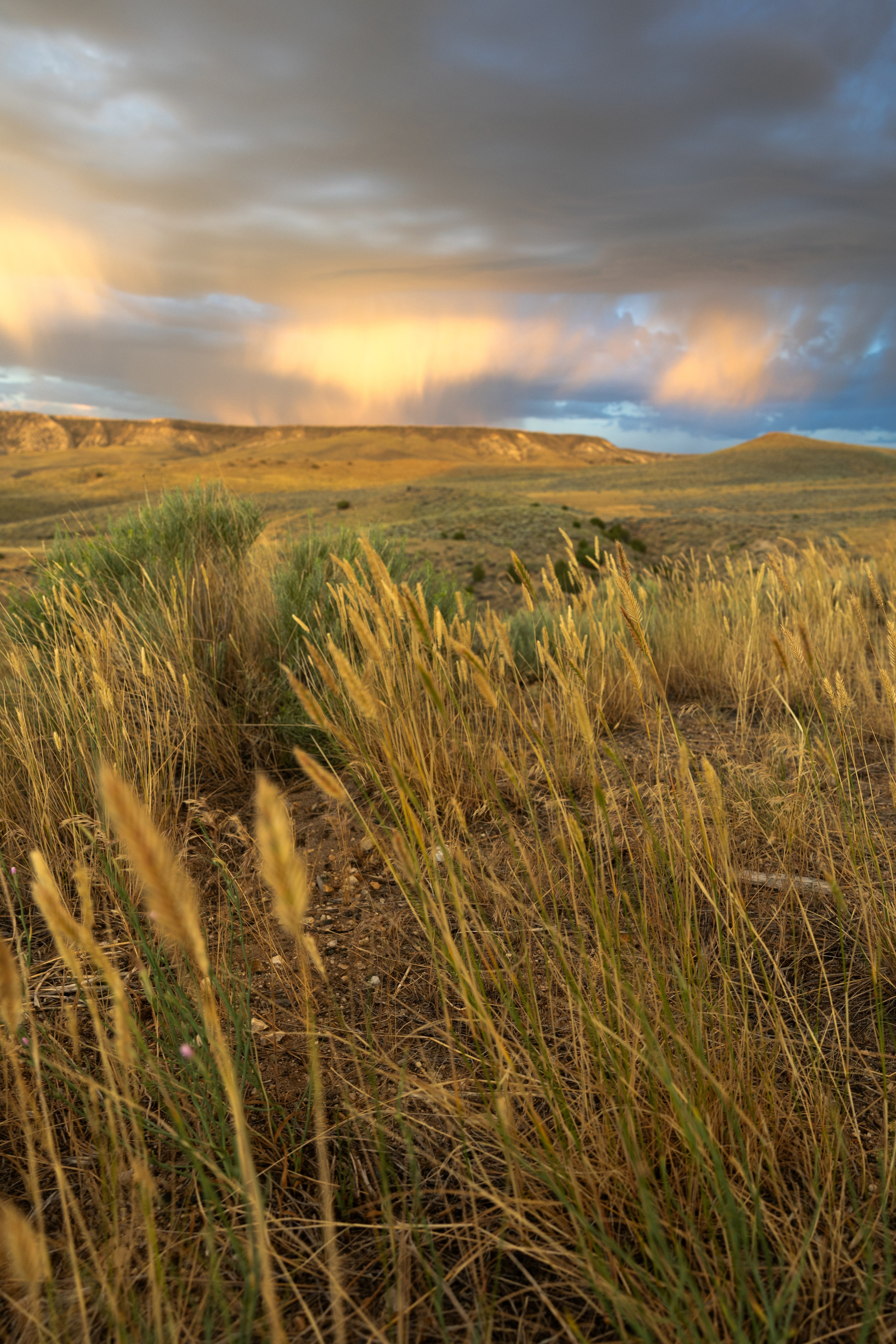 Wyoming. Family Lifestyle Photography