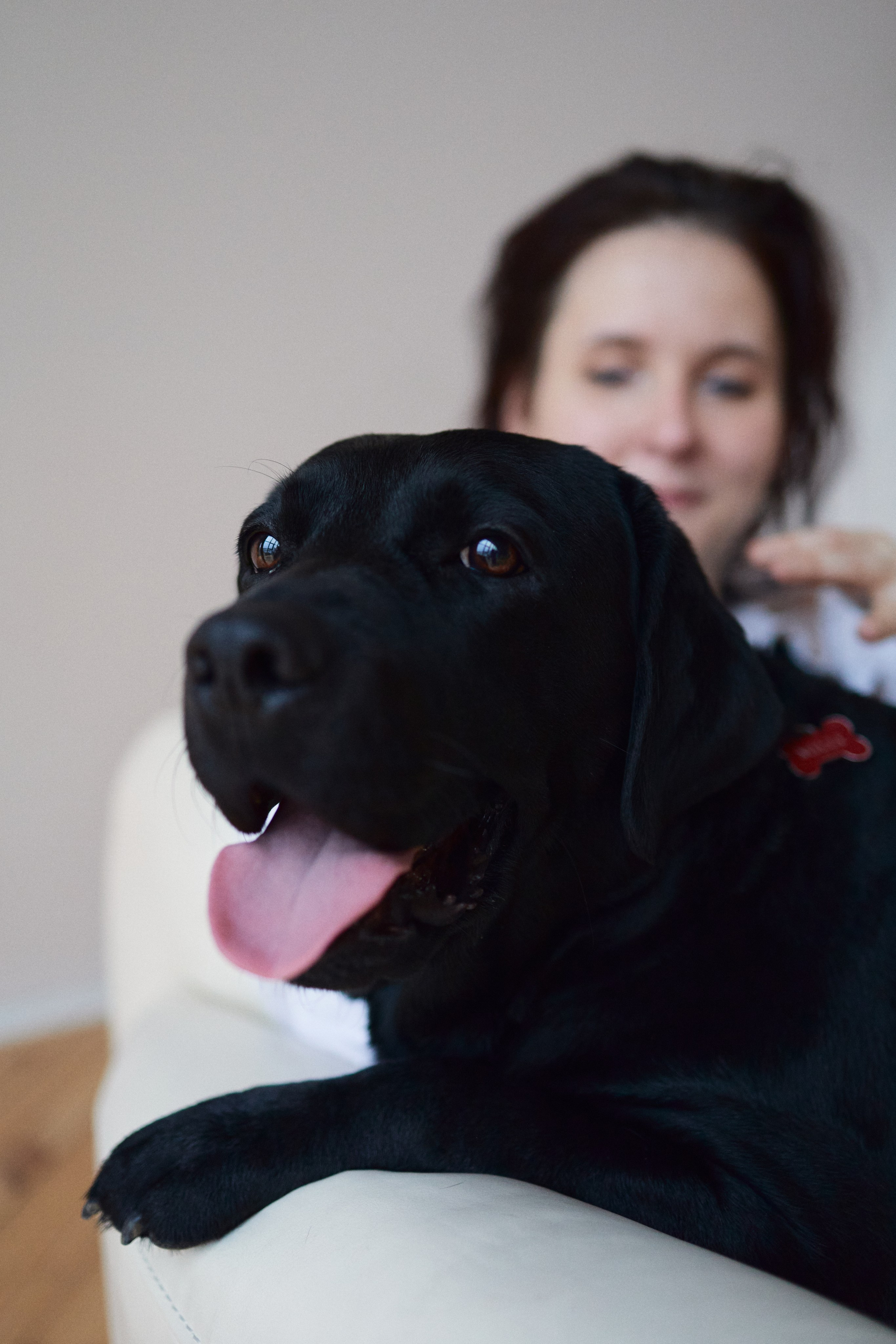 Вика. Анастасия Еремина | Фотограф в Сербии | Персональные и бизнес-фотосессии в Белграде и Нови Саде