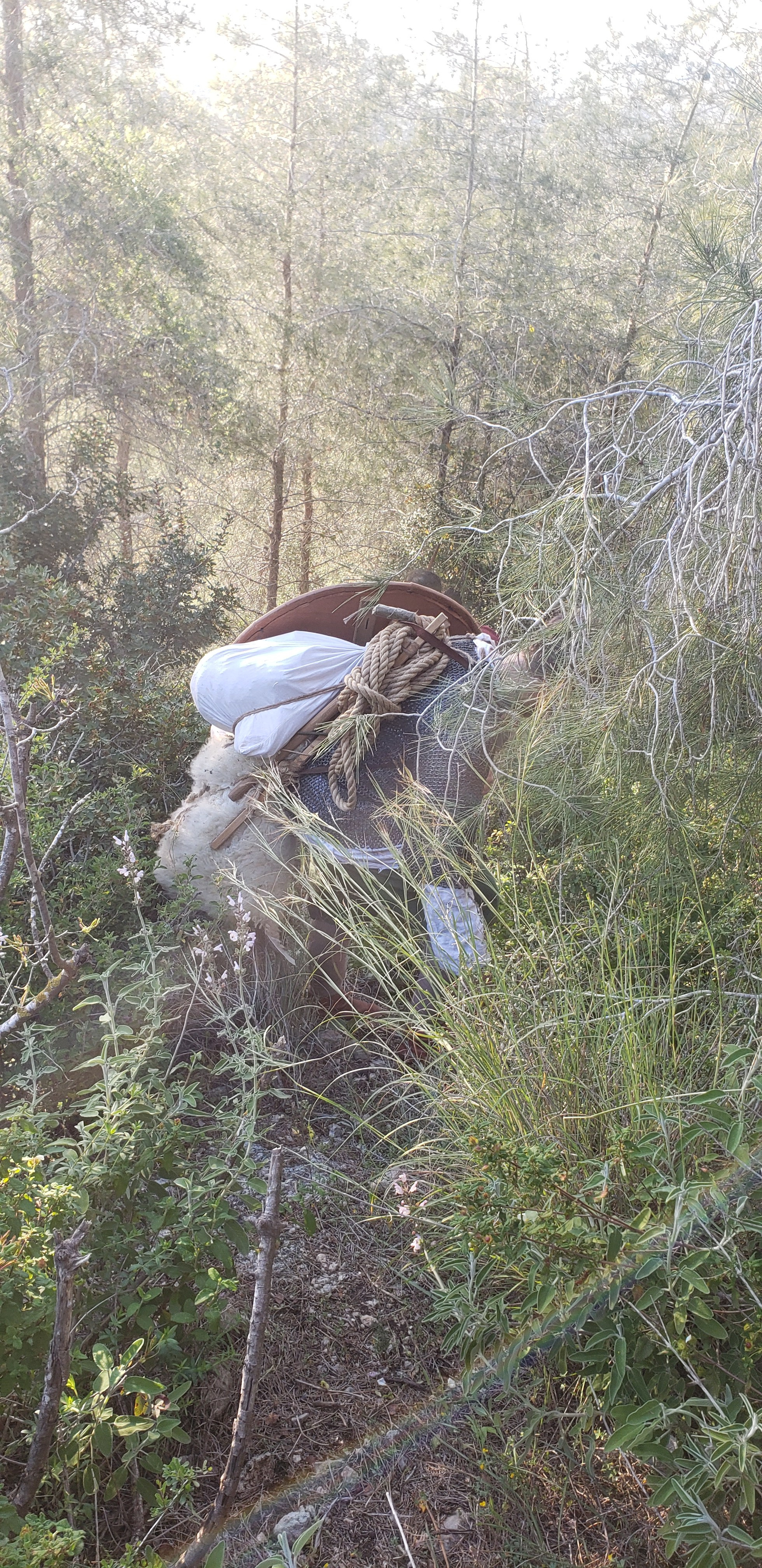 Реконстукционный поход Парк Британия. КРиС «Нортман»