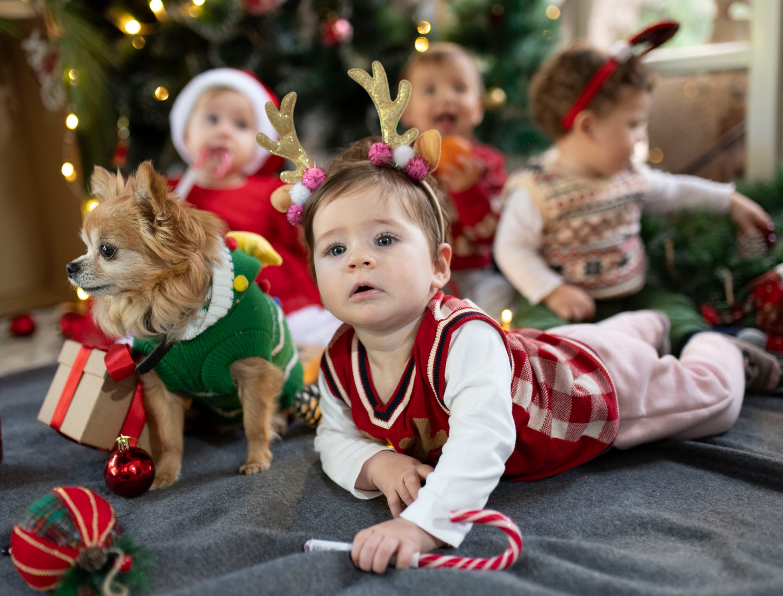 Christmas in Kindergarten. KATY GOLD PHOTOGRAPHY