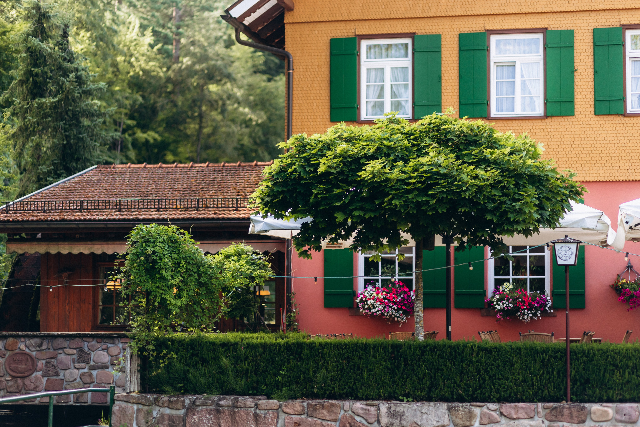 Sasha & Vika& Daniel. Wedding and Family Photograph