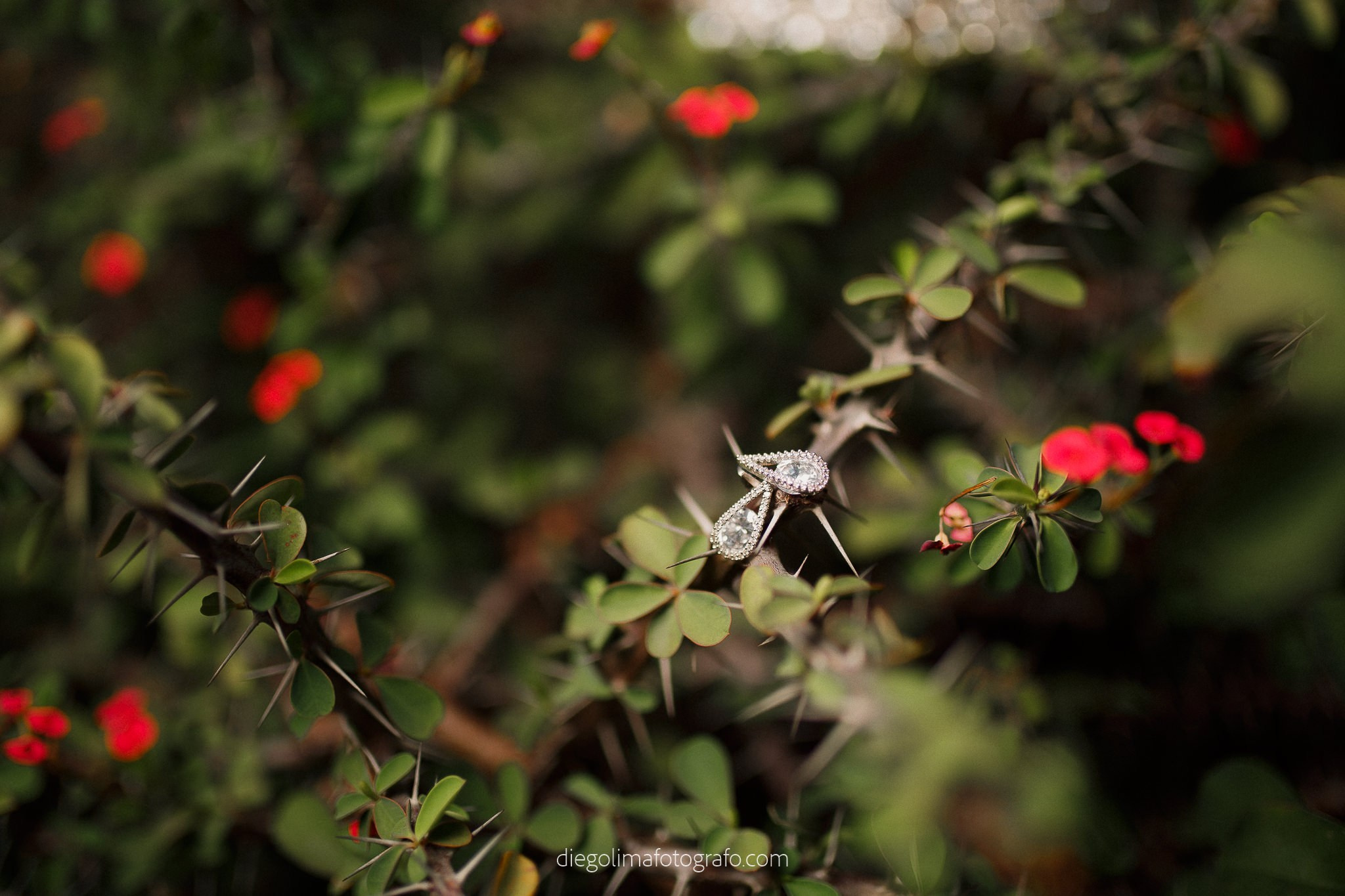 Beatriz & Wenderson. Diego Lima Fotógrafo e Videomaker em Rondônia