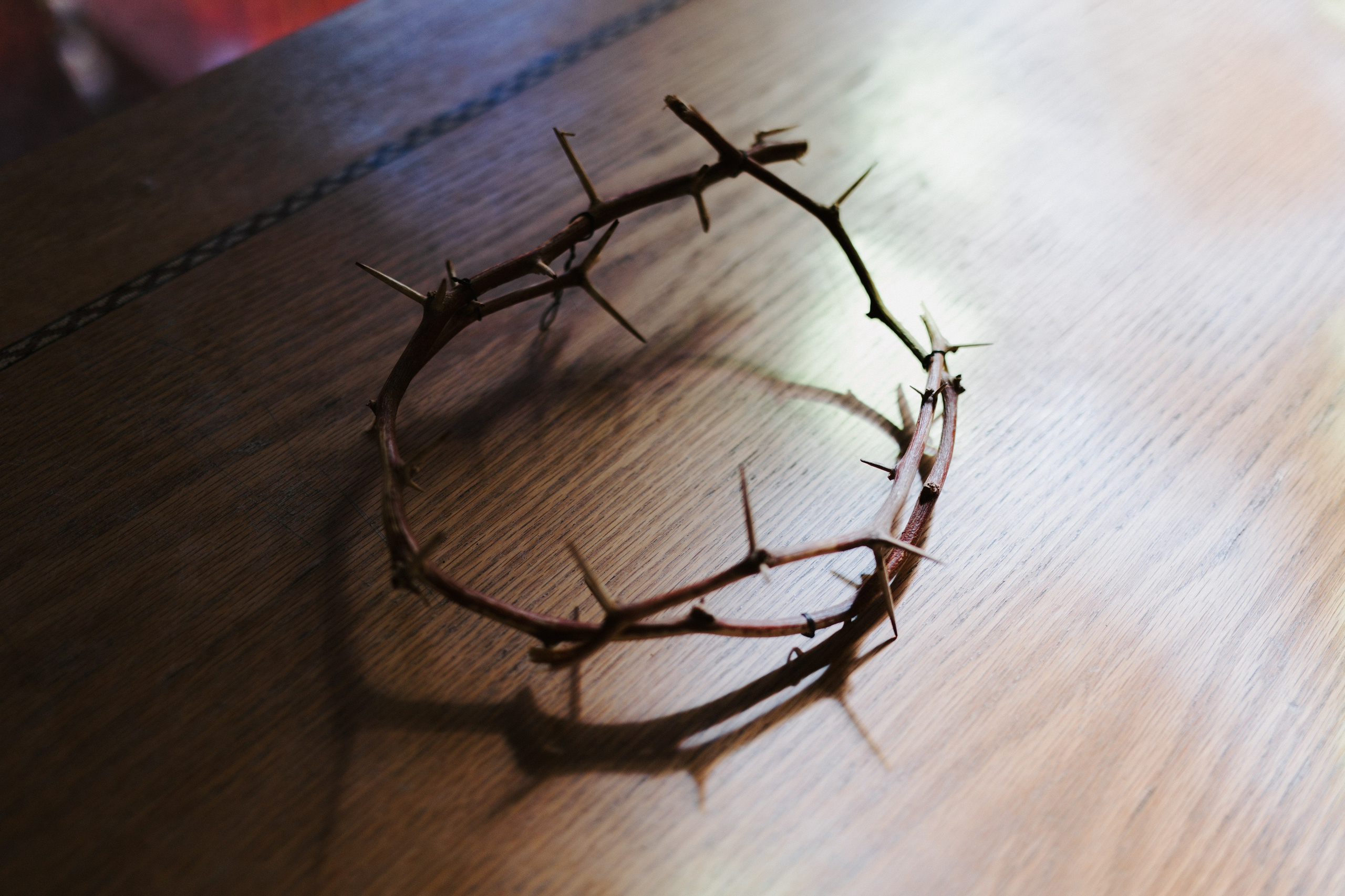 Weddings. Destination Wedding photographer in Sharm el Sheikh, Egypt