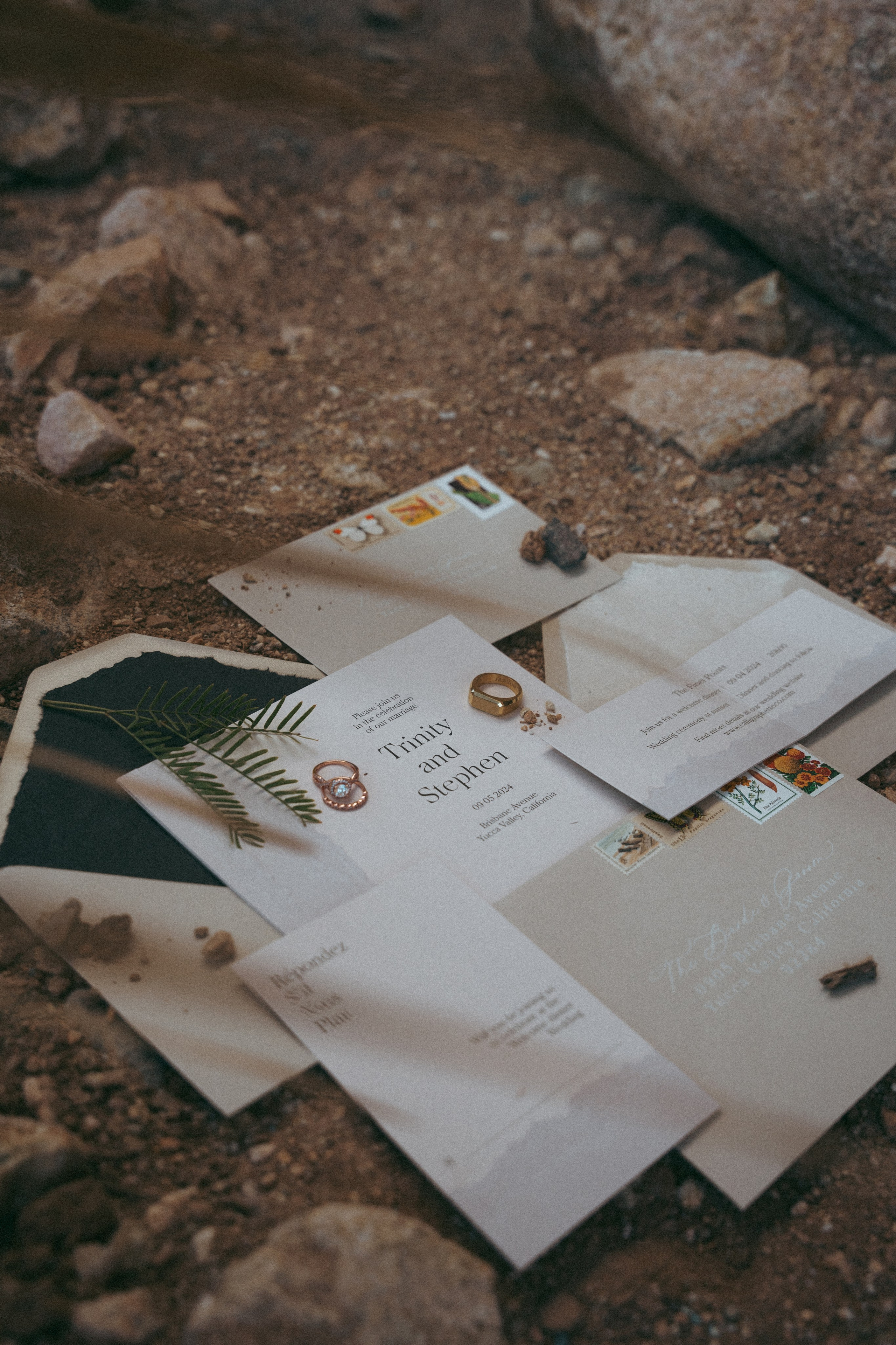 Joshua Tree wedding. Joshua tree elopement. Wedding for 2. Wedding photographer Joshua Tree. Elopement photographer in Joshua Tree. Couples photographer in Joshua Tree. Elopement in Joshua Tree