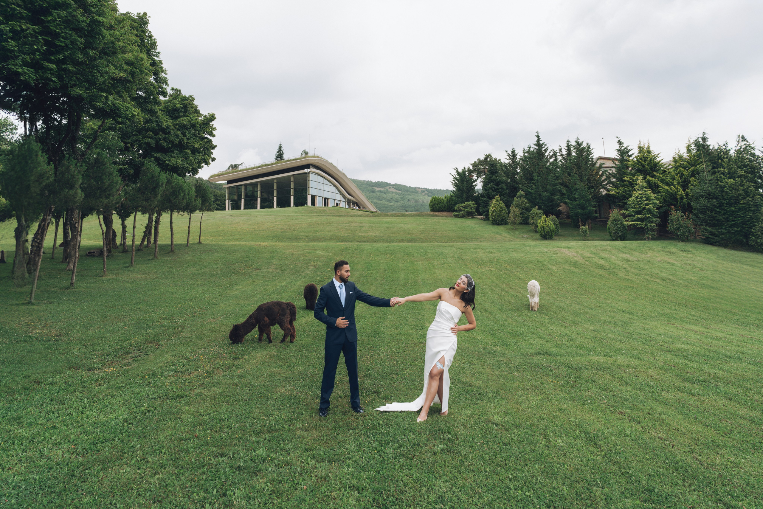 Wedding Bioli. Create your own history with Pierre Studio