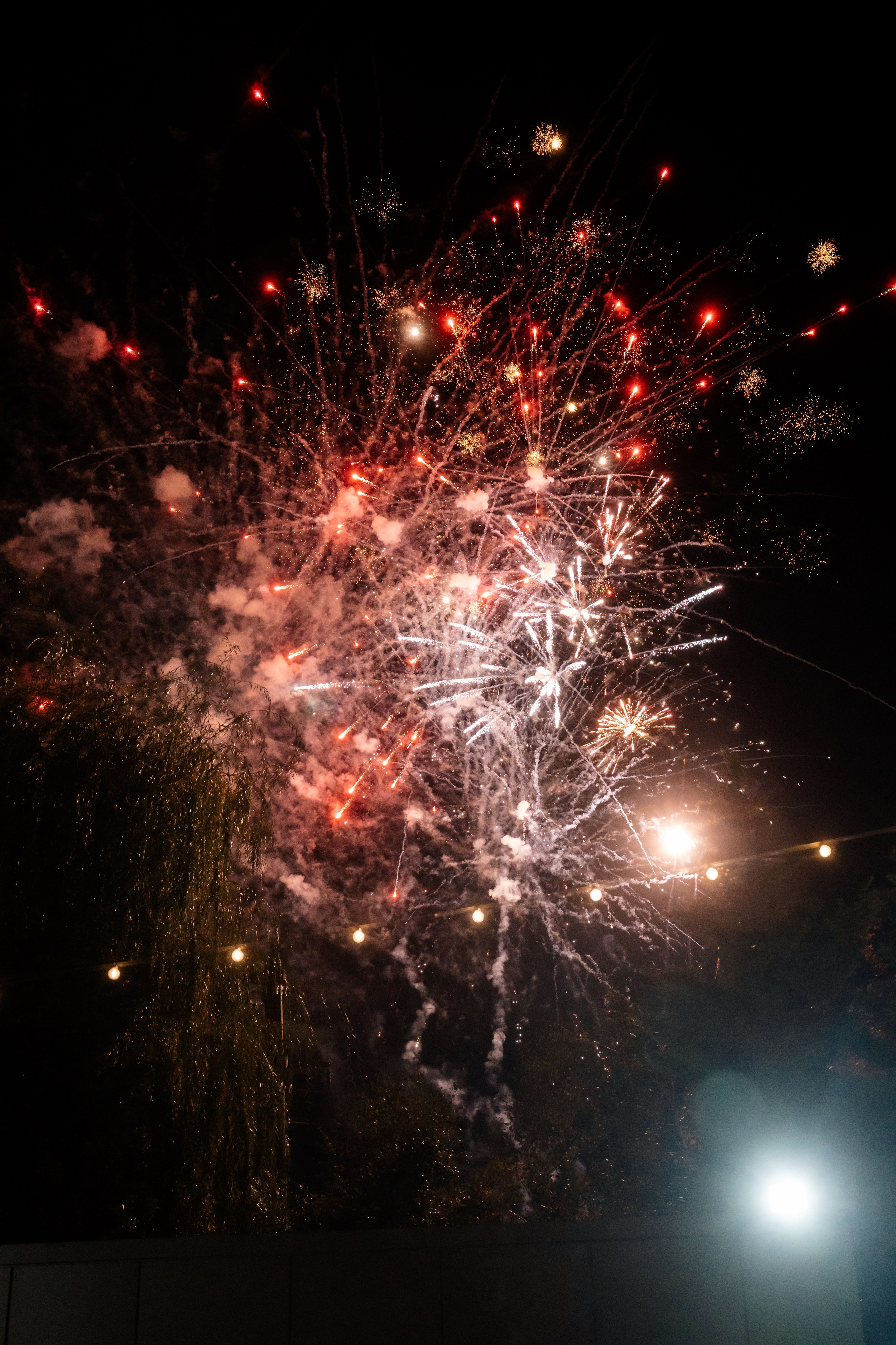 Portfolio. Destination Wedding Photographer Alex Pasarelu