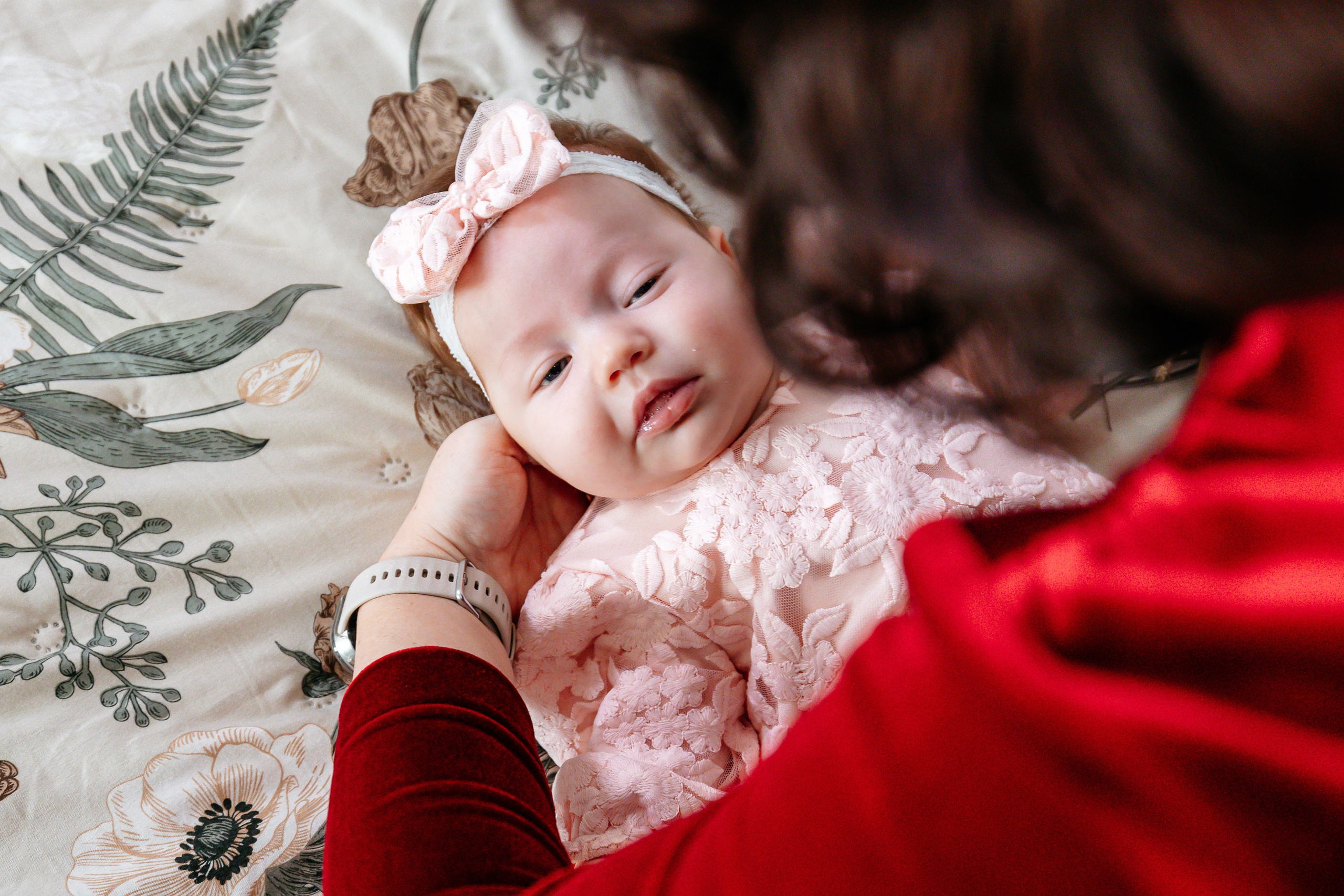 Botez. FreitagPROFOTO