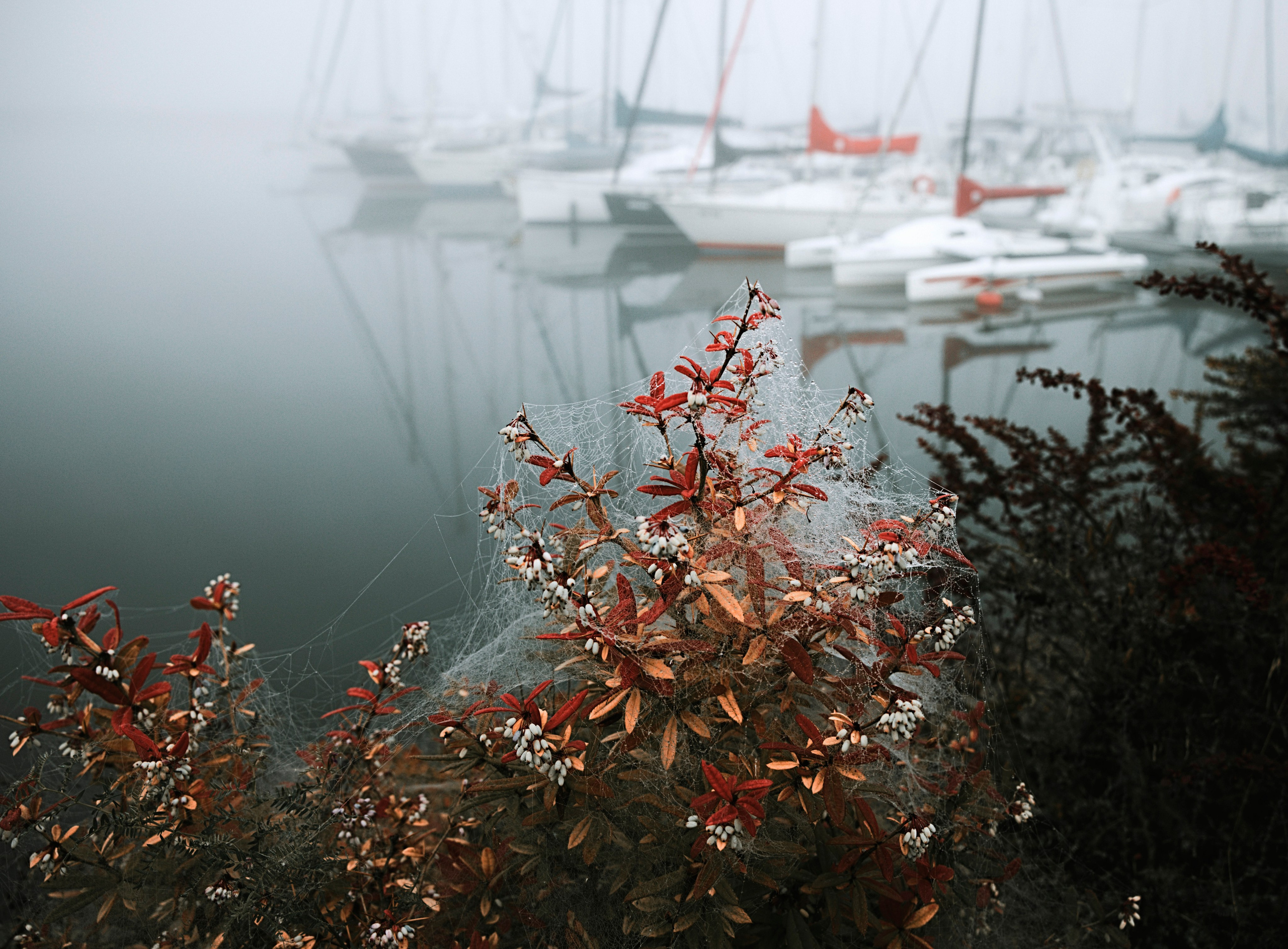 LGB. LUKIN IGOR Photography