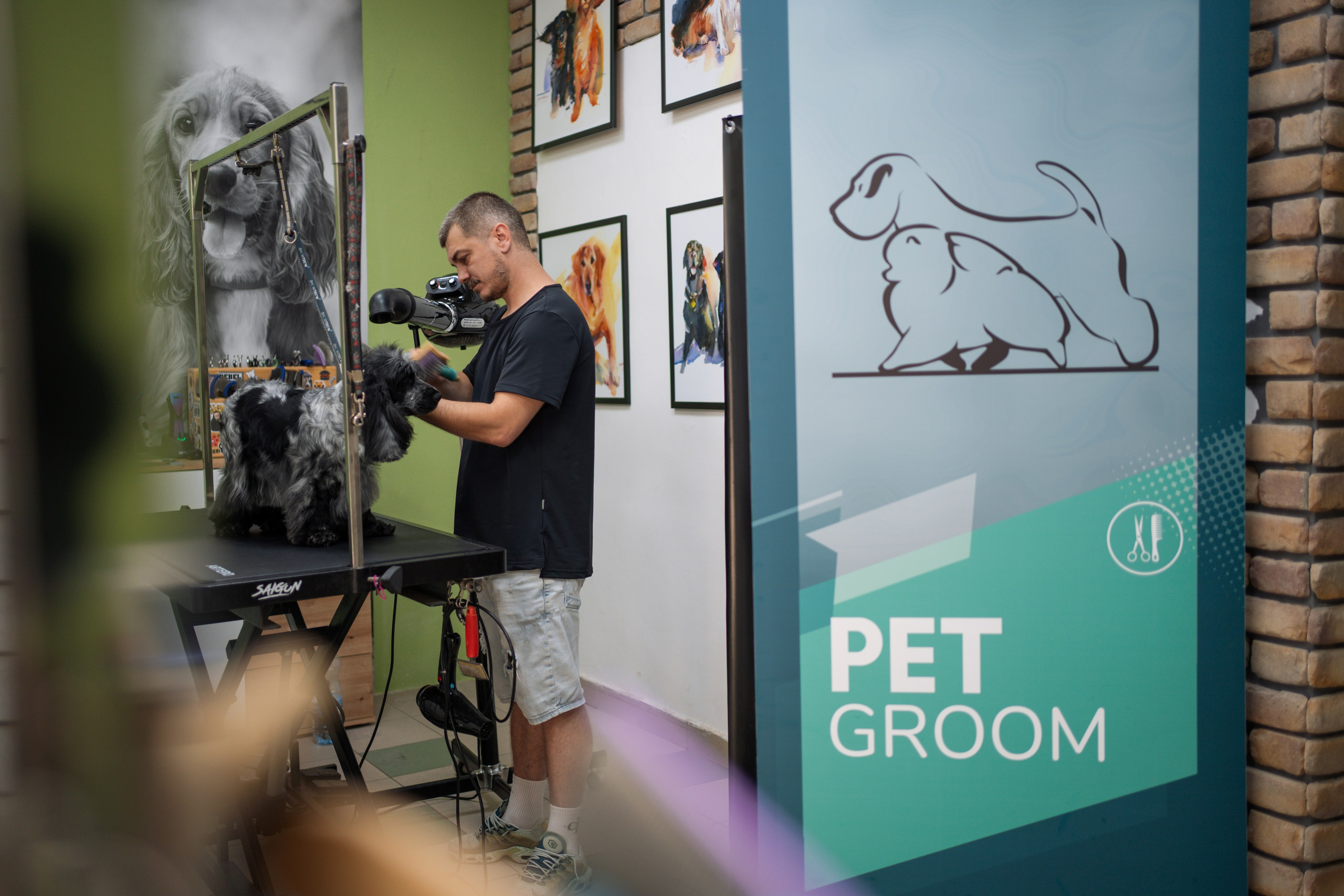 PetGroom Timisoara. Cozac Cristian Photographer