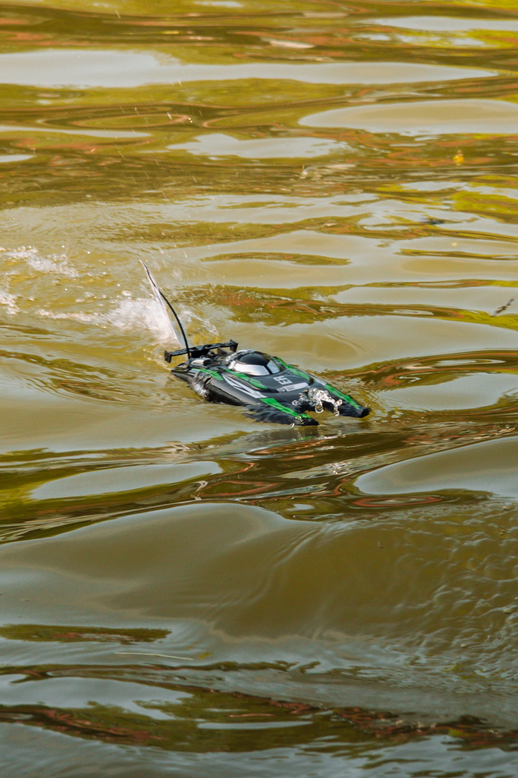 06.04 Bega Boat Race. Cozac Cristian Photographer
