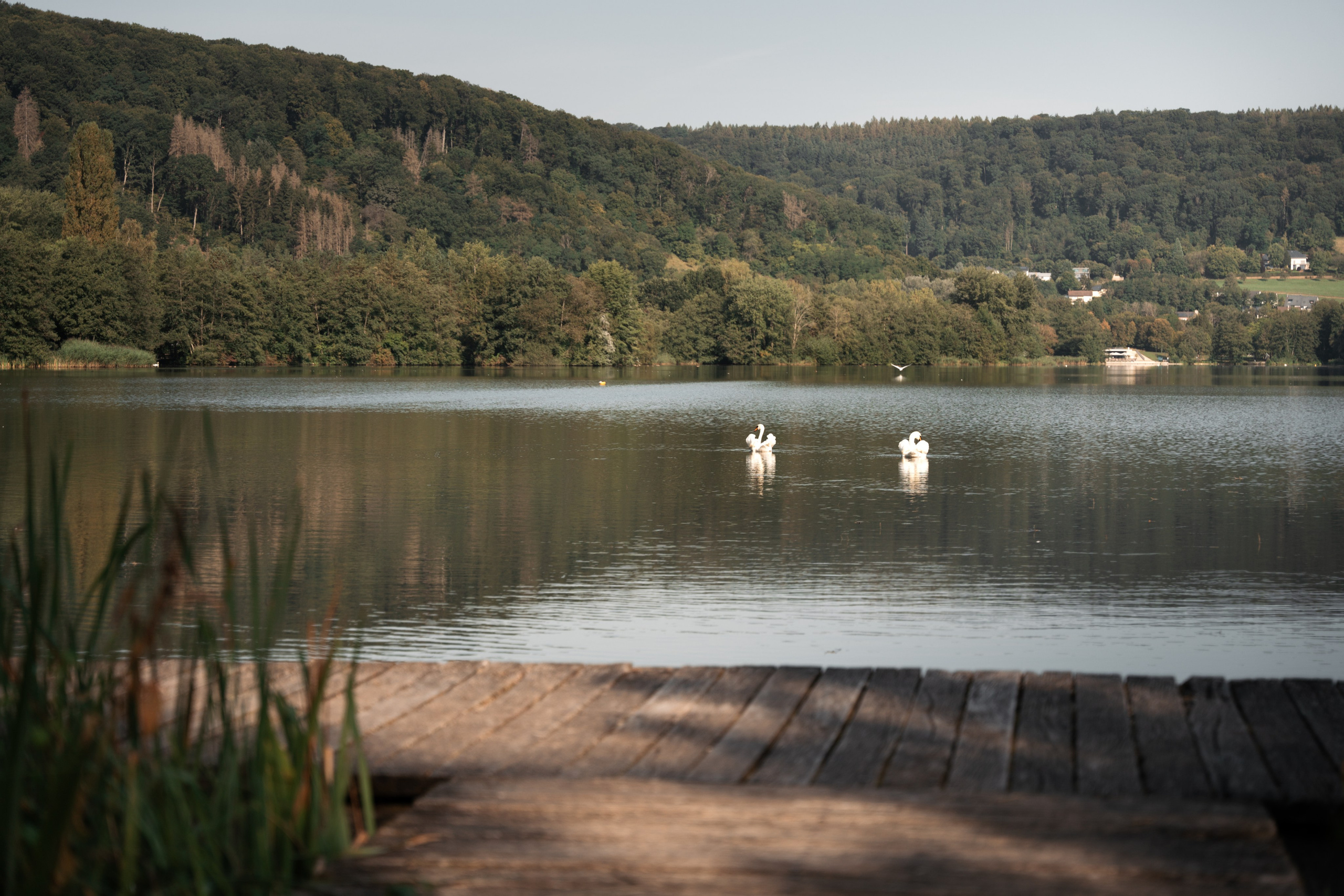 Family | Meer van Echternach. Elena Seewald