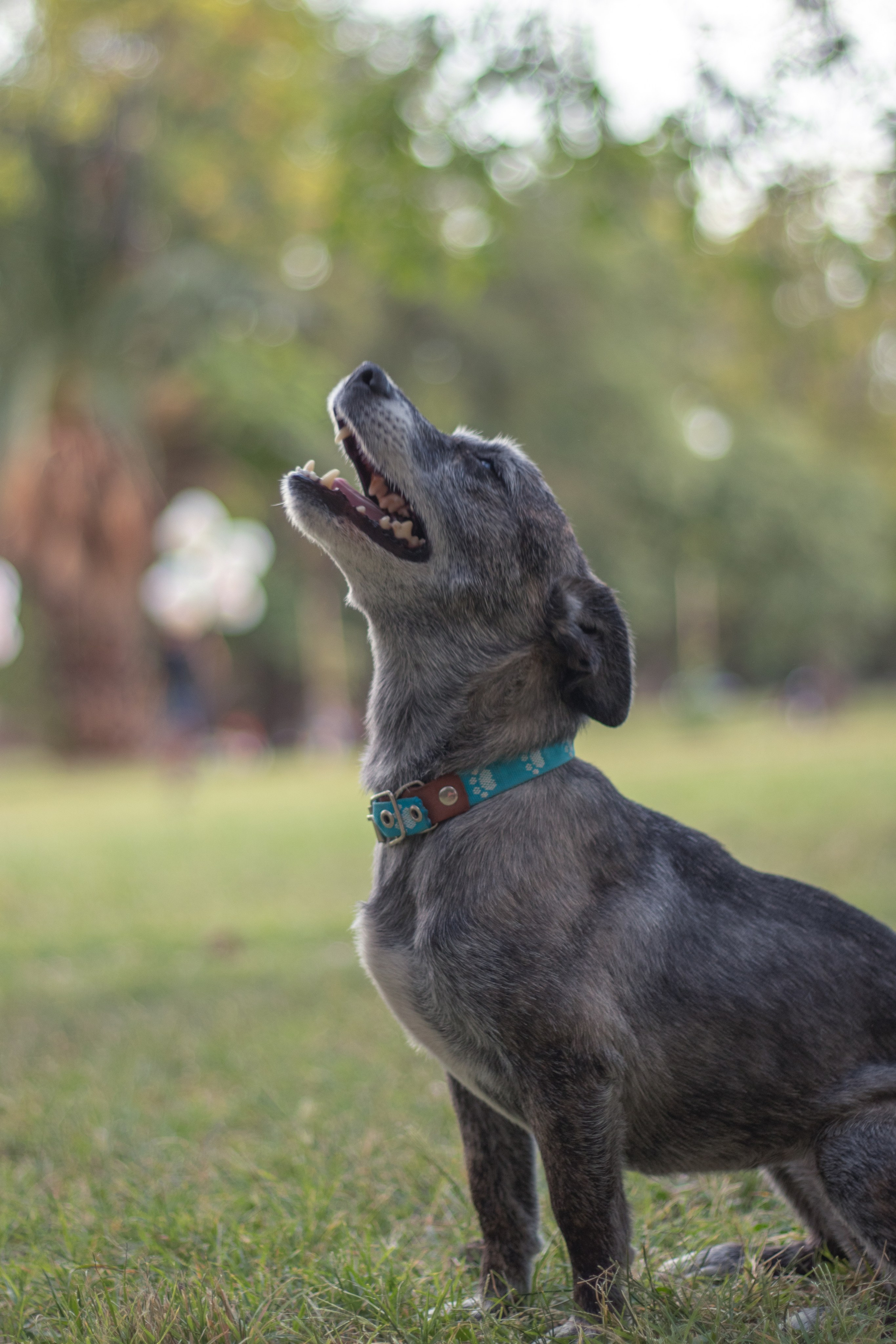Maya & Pablo. Fotógrafo en Mendoza Alexander Safonov
