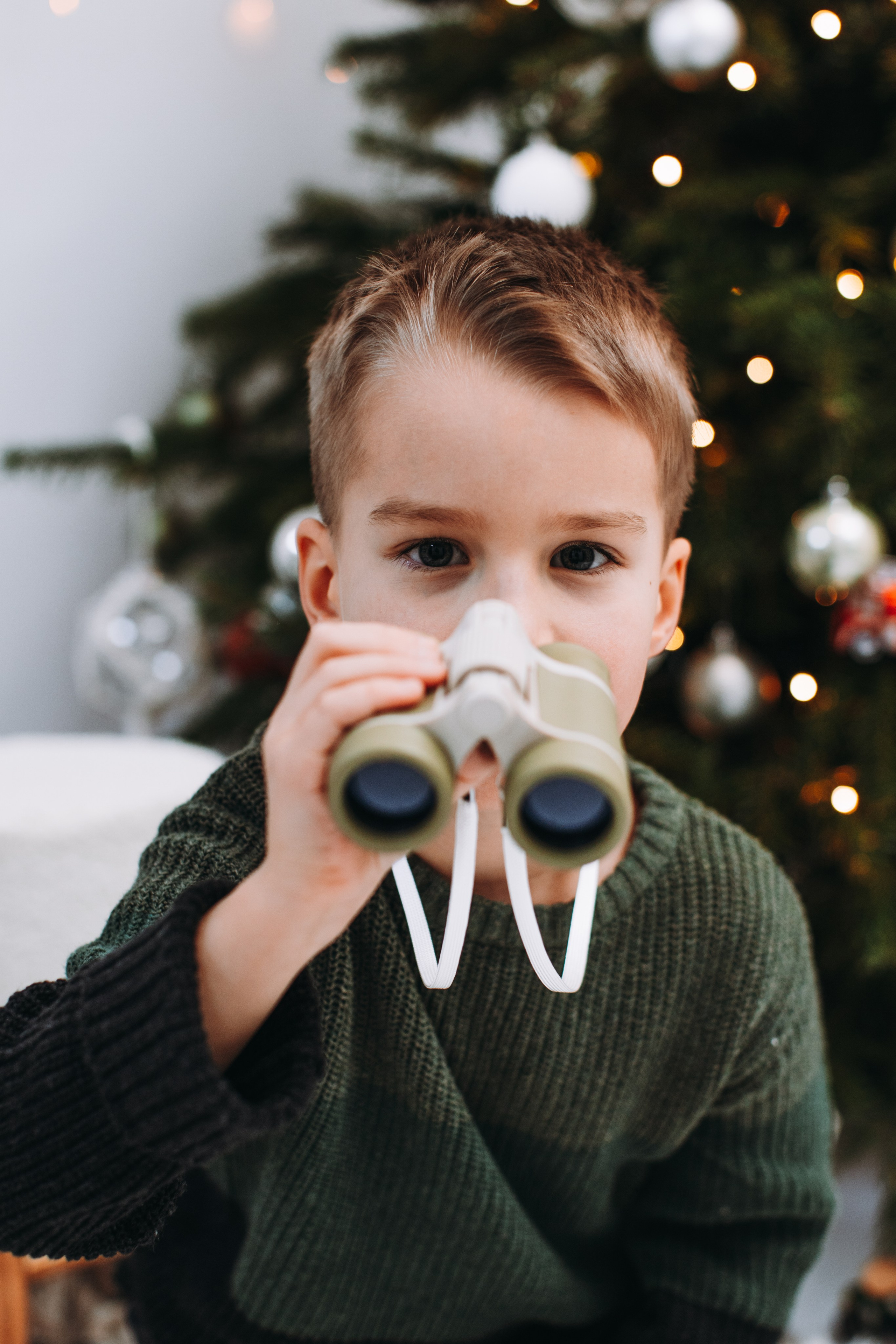 Weihnachtsshooting. Dienstleistungen