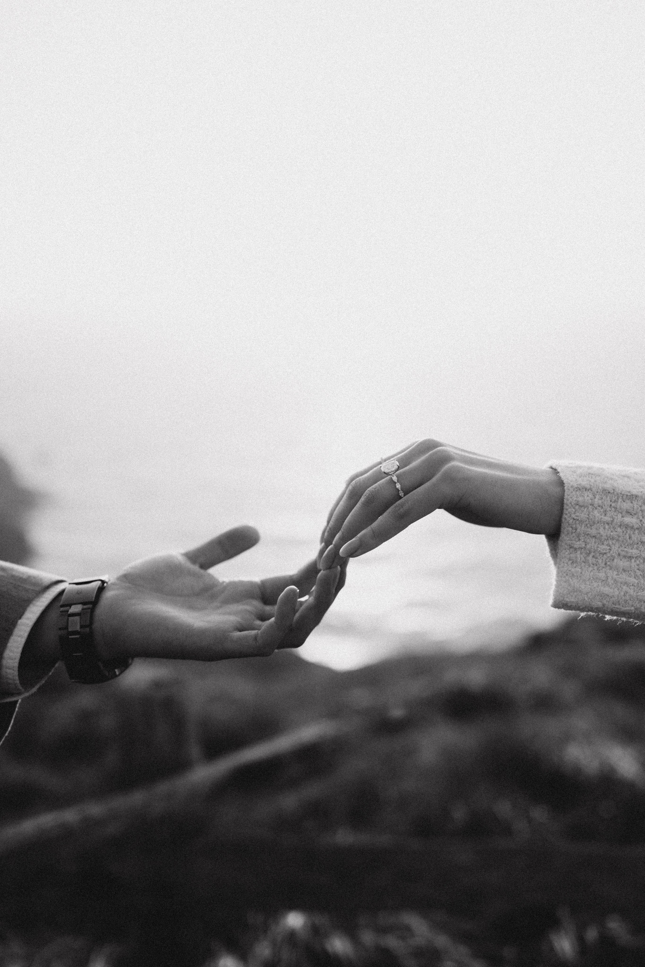 She Said Yes at Point Reyes!. Soulo Photography | San Francisco Bay Area Based Photographer