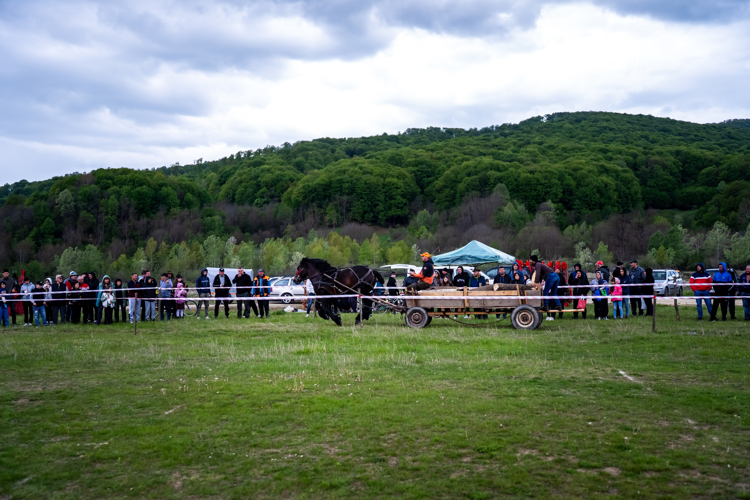 Concurs Ecvestru Vărbilău ediția a 4-a. Mihai Alexandra Events