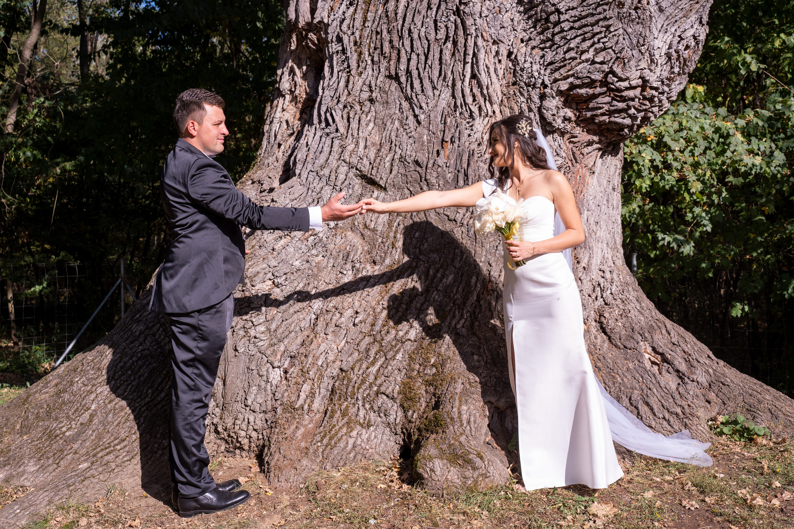 Nuntă Adina & Sorin