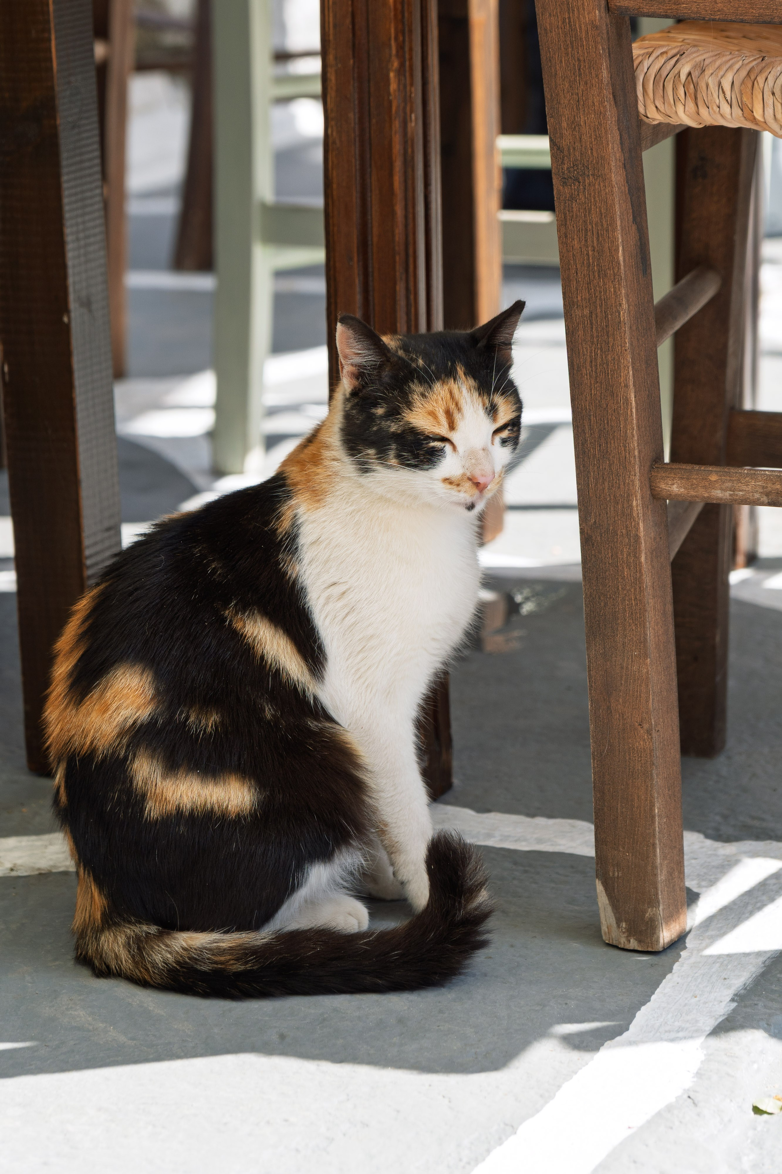 Thasos 2025. Fotografiideplacere.net