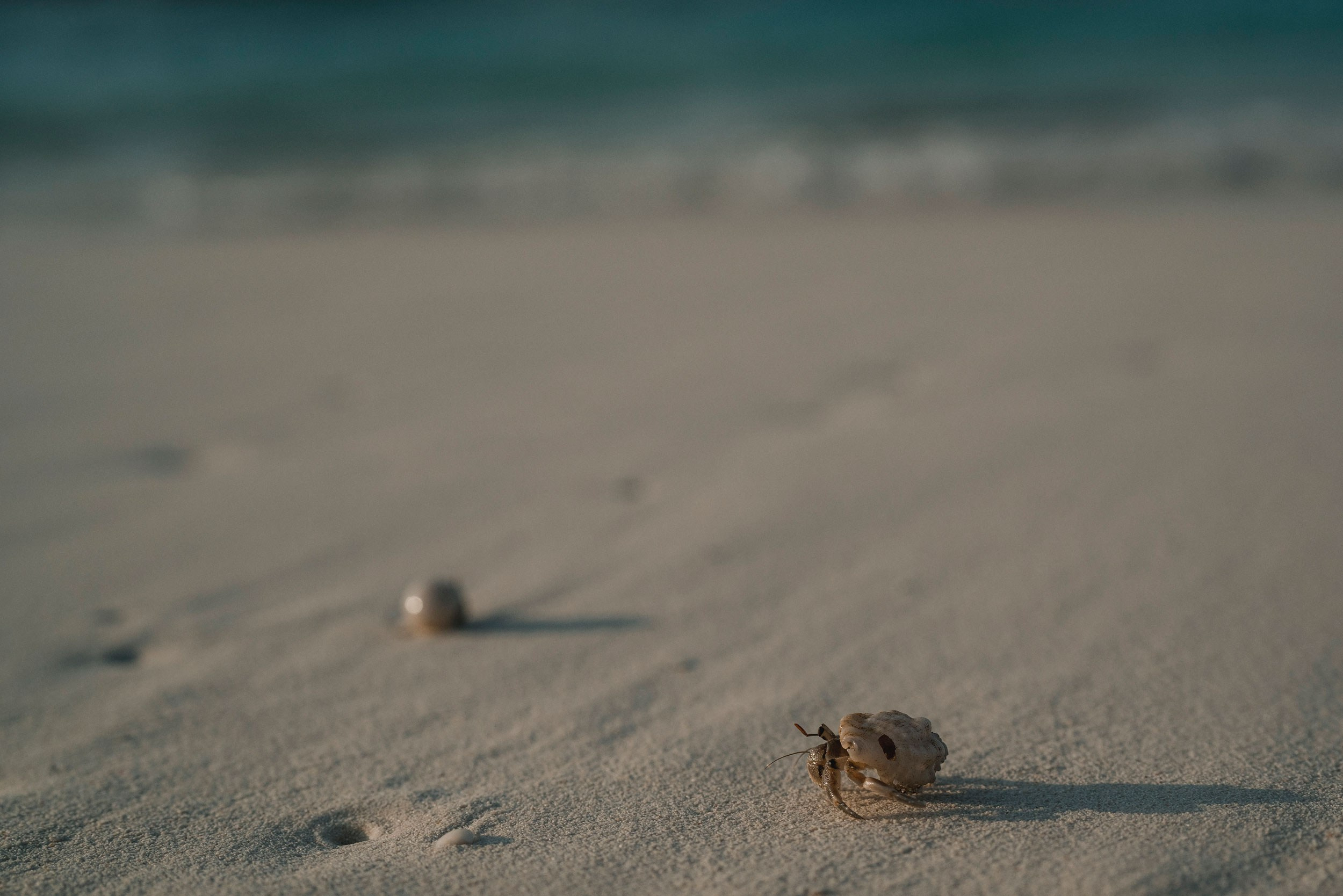 Personal photoshoot for Juliette taken at Maldives. Sergio Russo — TOP Wedding Photographer in Dubai