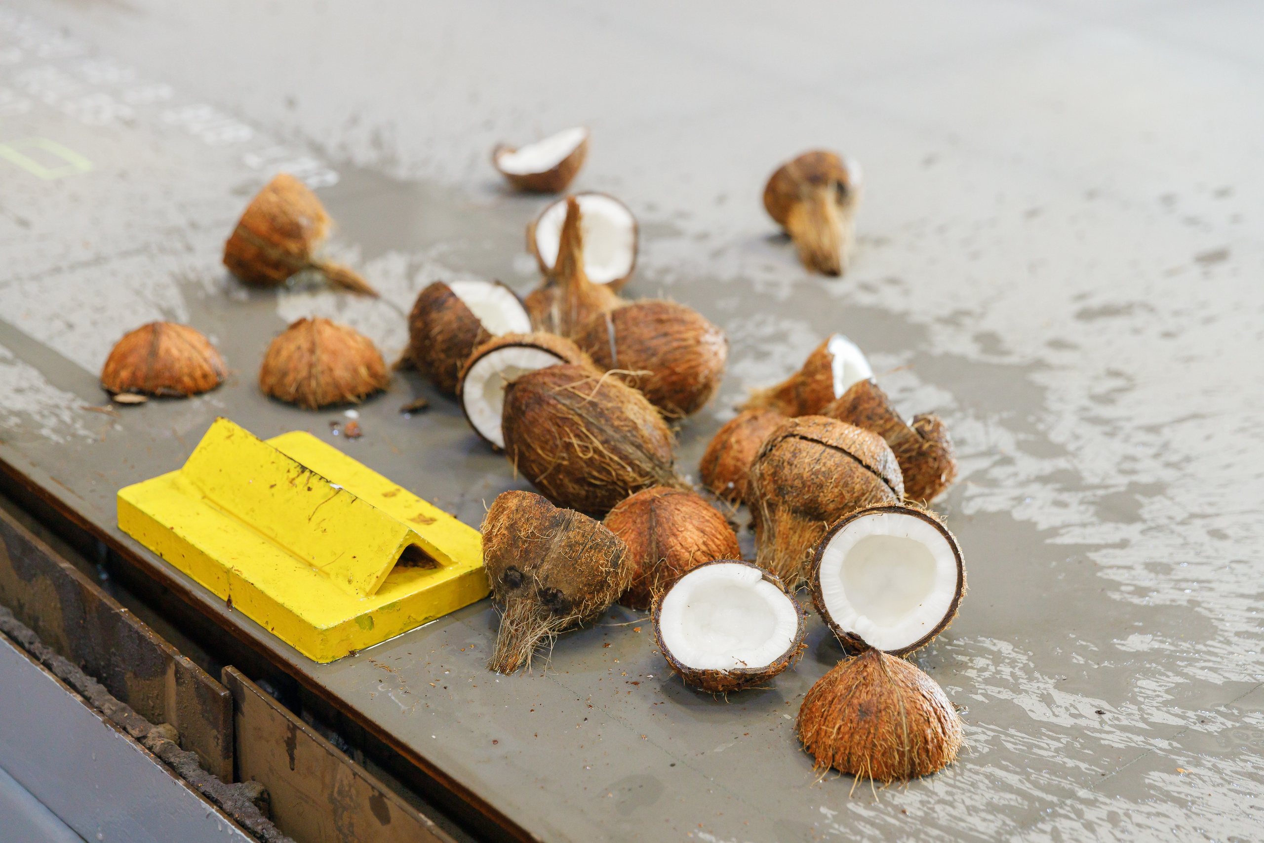 DAMEN opening ceremony. Photographer Anna Curly | Weddings and Events in Dubai