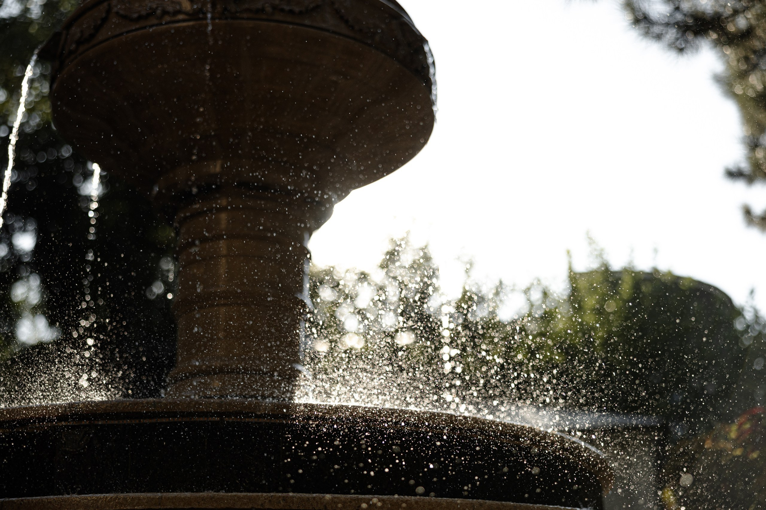 WEDDING REPORTAGE 2024. Азимжан Нуритдинходжаев — свадебный фотограф