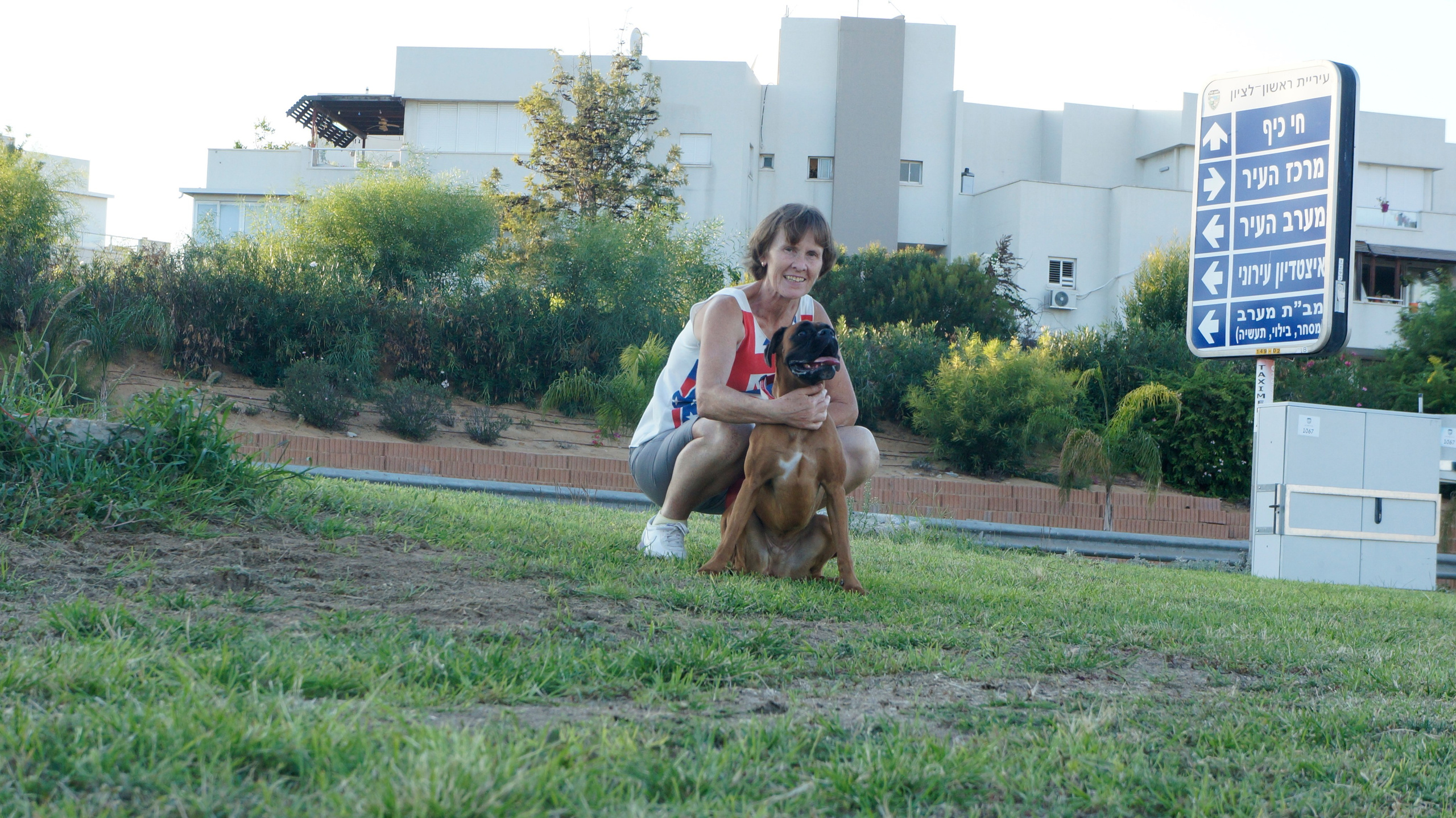 My ״Star״ Boxer Dog