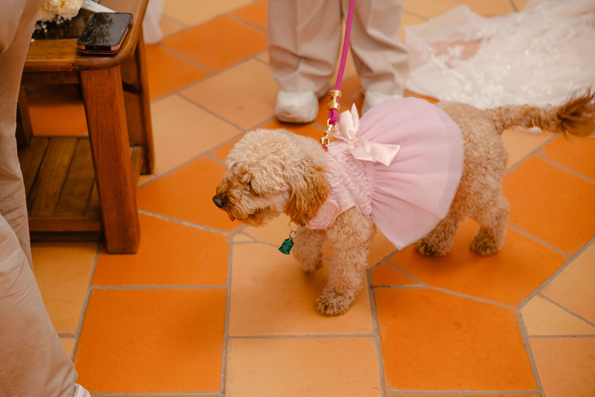 Abril & Dylan / Morelos. Wedding and family photographer in Mexico City