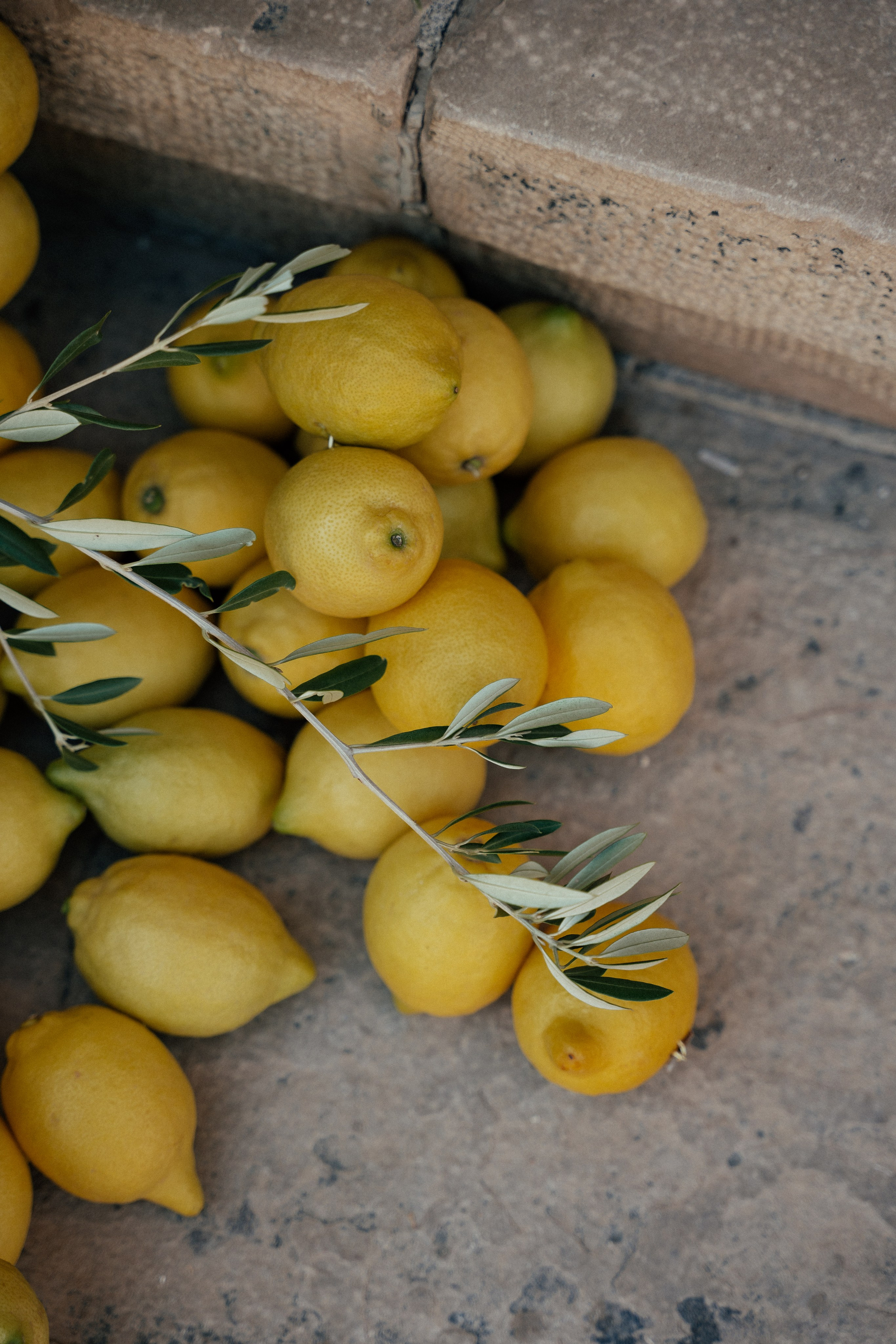 Gonzalo & Maria (Murcia)