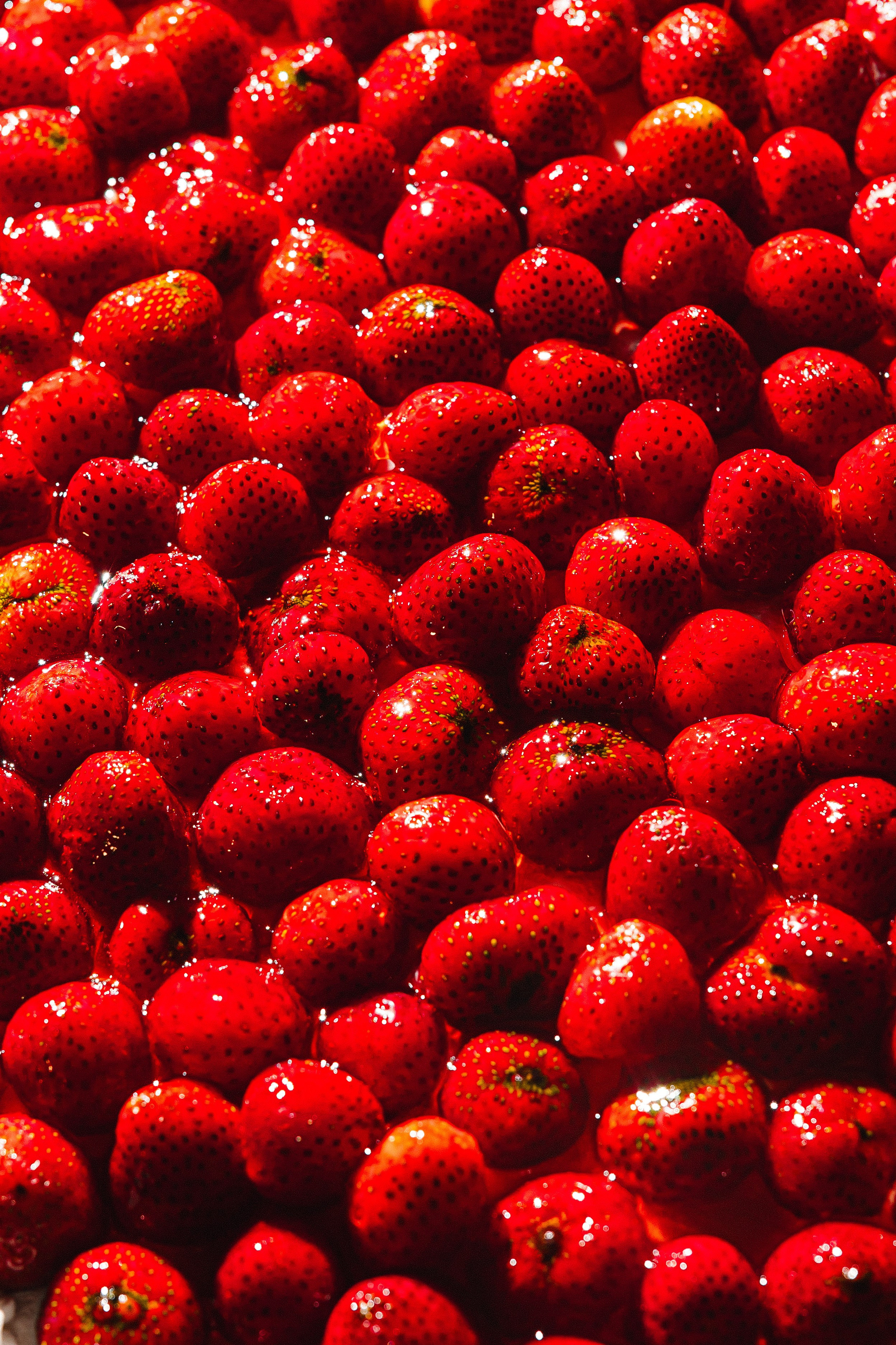 Алмаз и Алина. Азимжан Нуритдинходжаев — свадебный фотограф