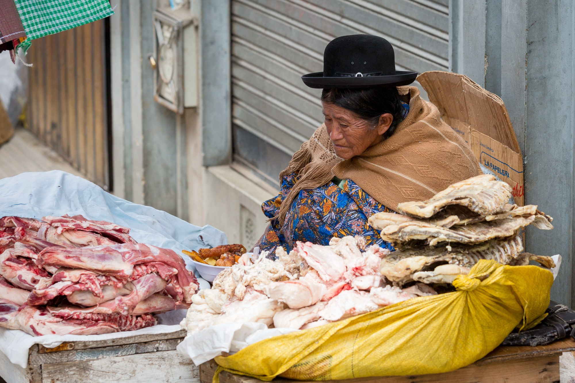 Bolivia Adventure — 2025. Pet, Senior, Landscape, portrait studio, photographer in Miami and Sou