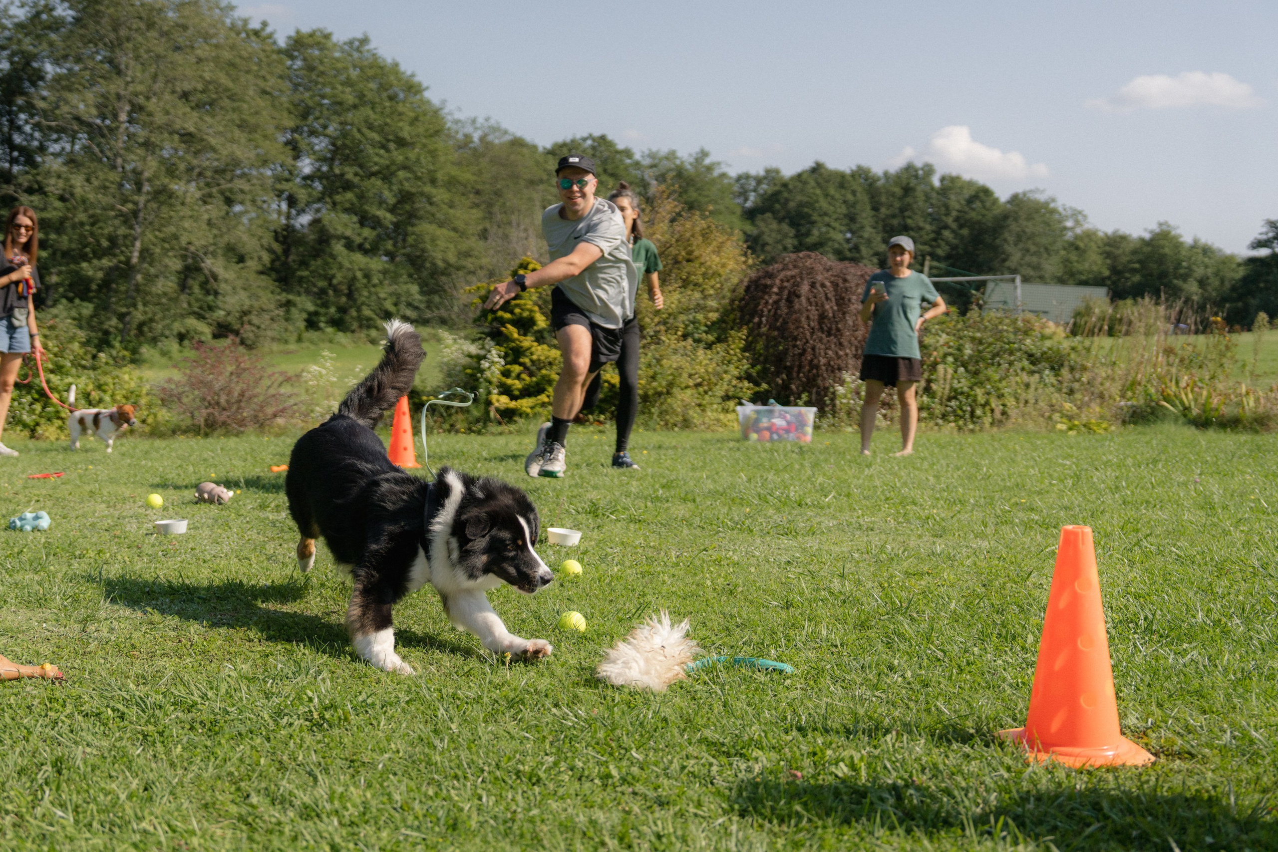 Heppi Dogo fest 2025. Vita Klimaševska ○ Fluffy Soulmate Photography