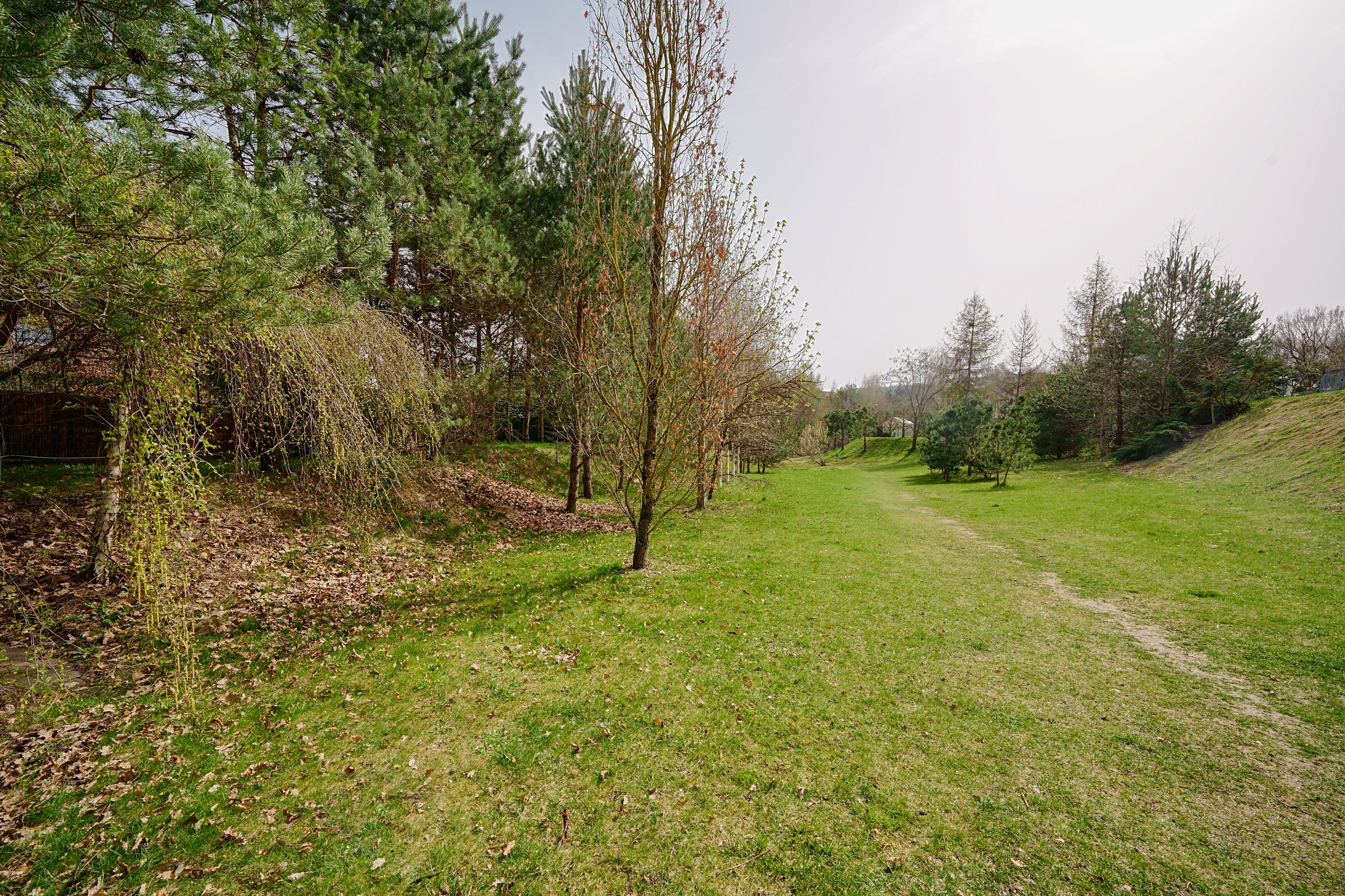 Mokyklos g. Vilnius. Elina Sapiega fotografė Vilniuje