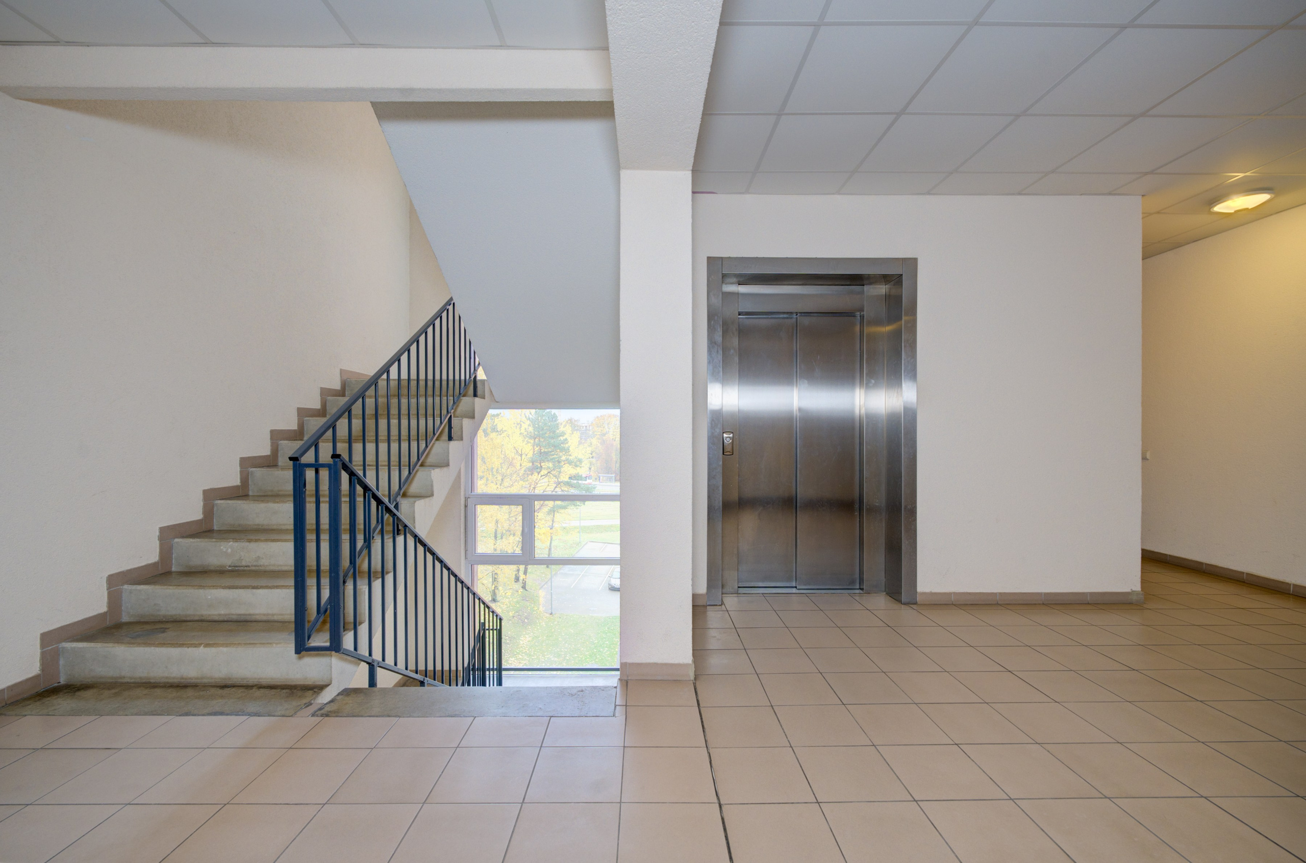 Virbuliškių g. 3m Pašilaičiai, Vilnius. Elina Sapiega fotografė Vilniuje