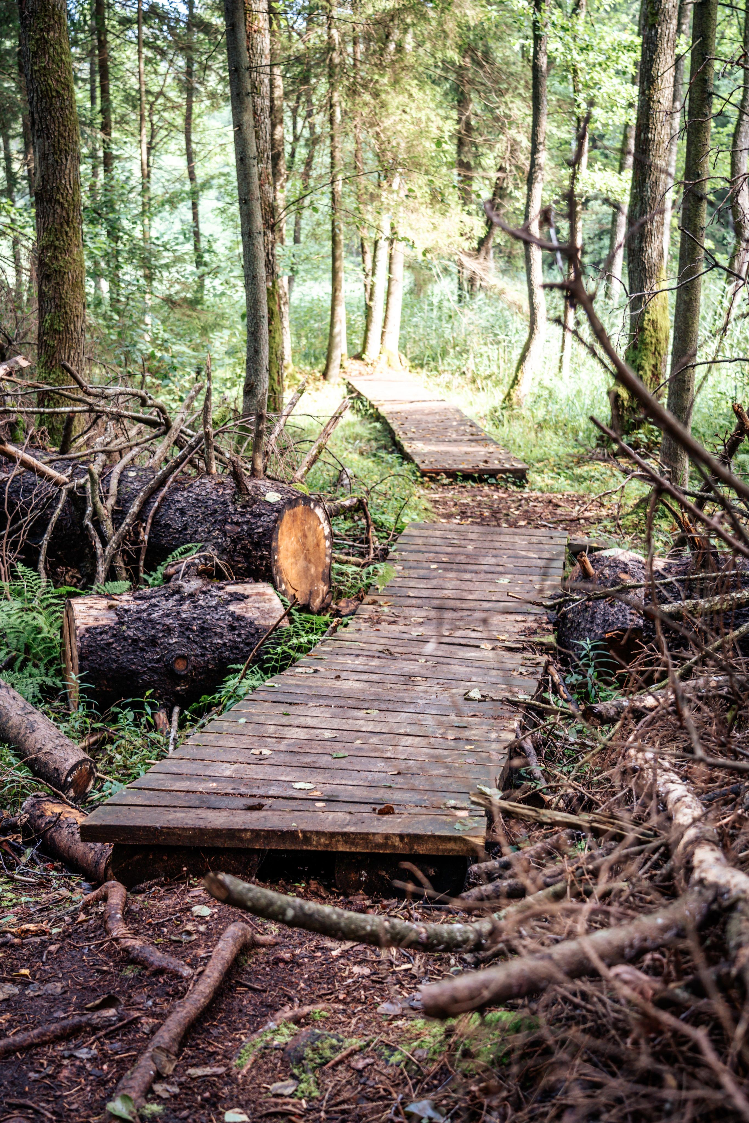 Pėsčiųjų turas. OnePIXEL