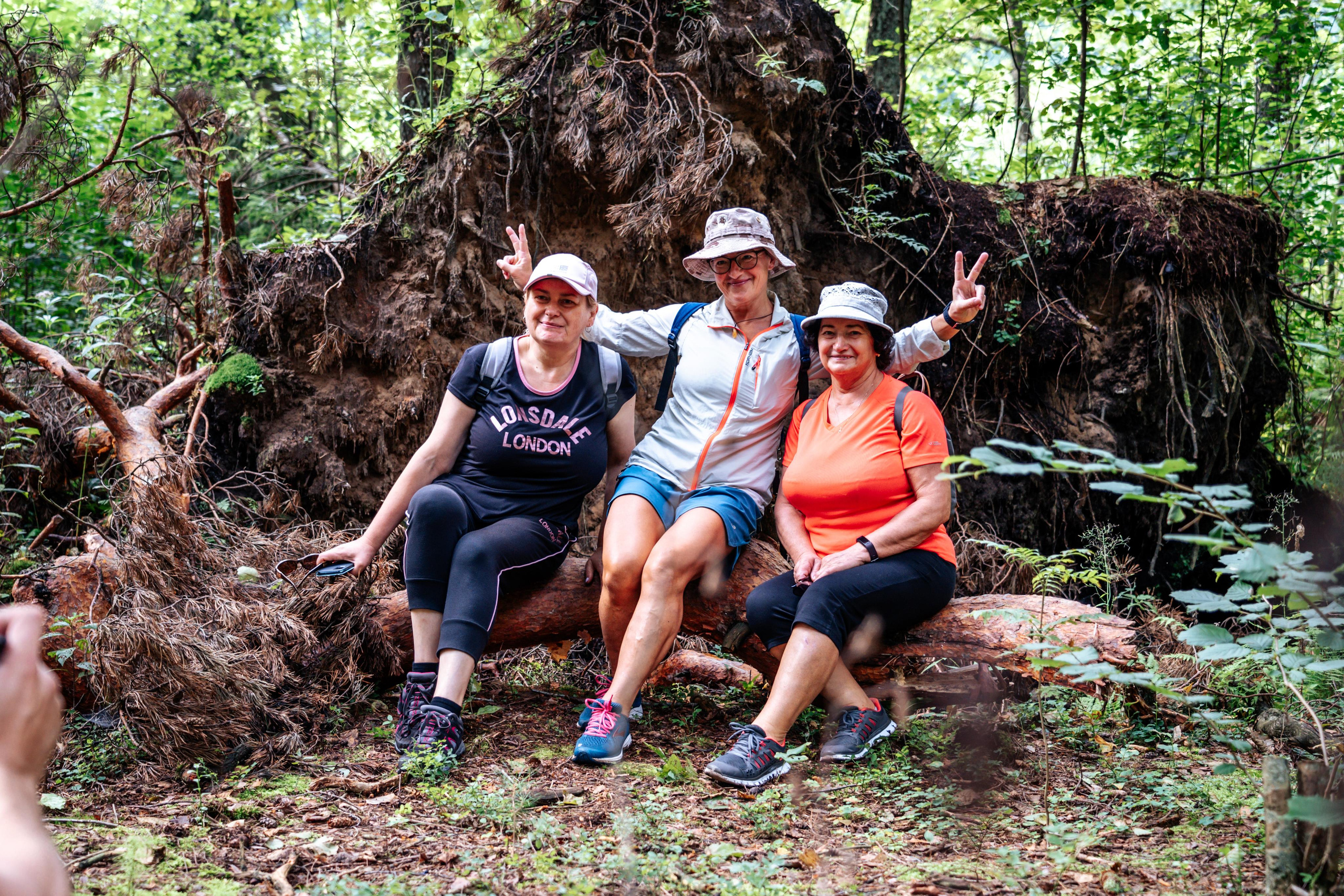 Pėsčiųjų turas. OnePIXEL